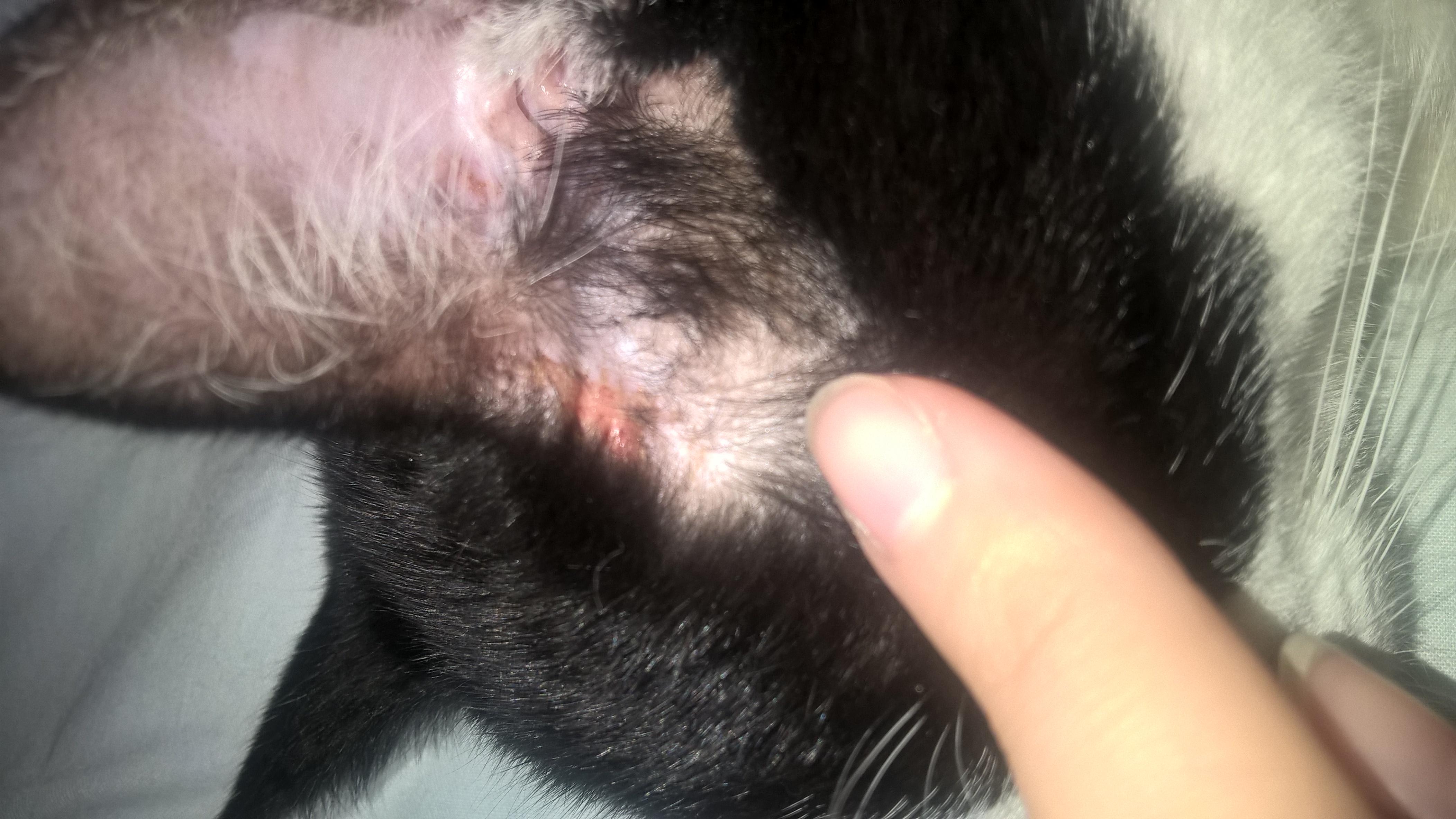 Question details sensitive content