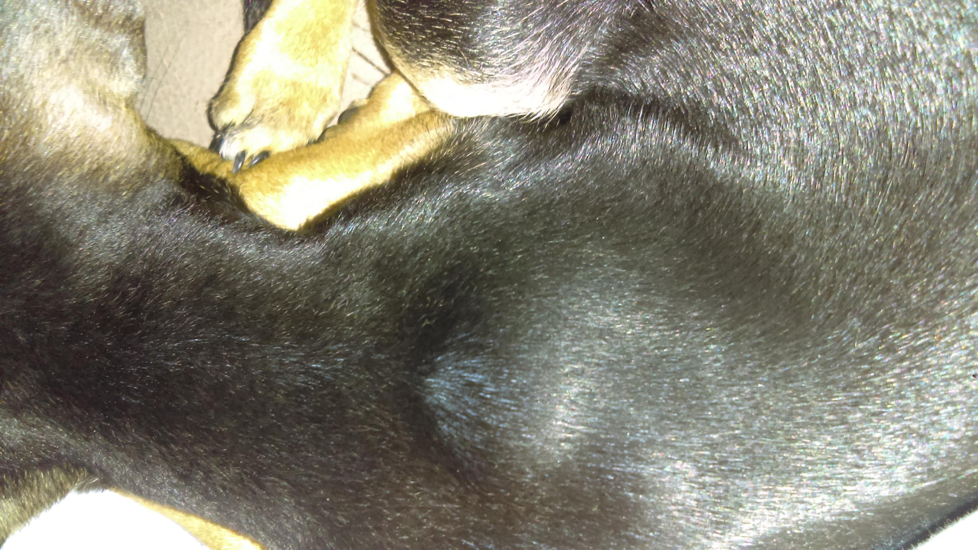 Question details sensitive content