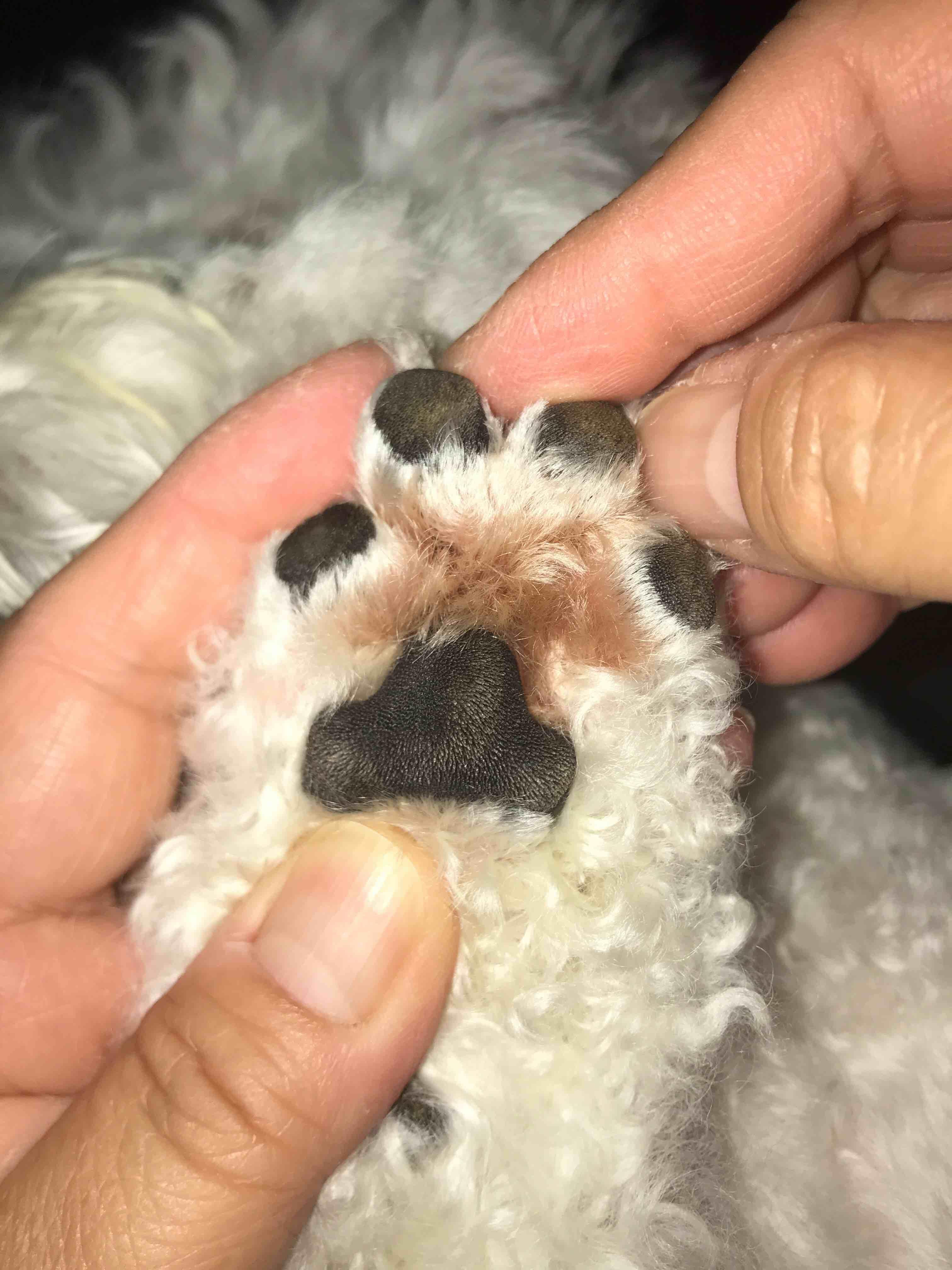 Question details sensitive content