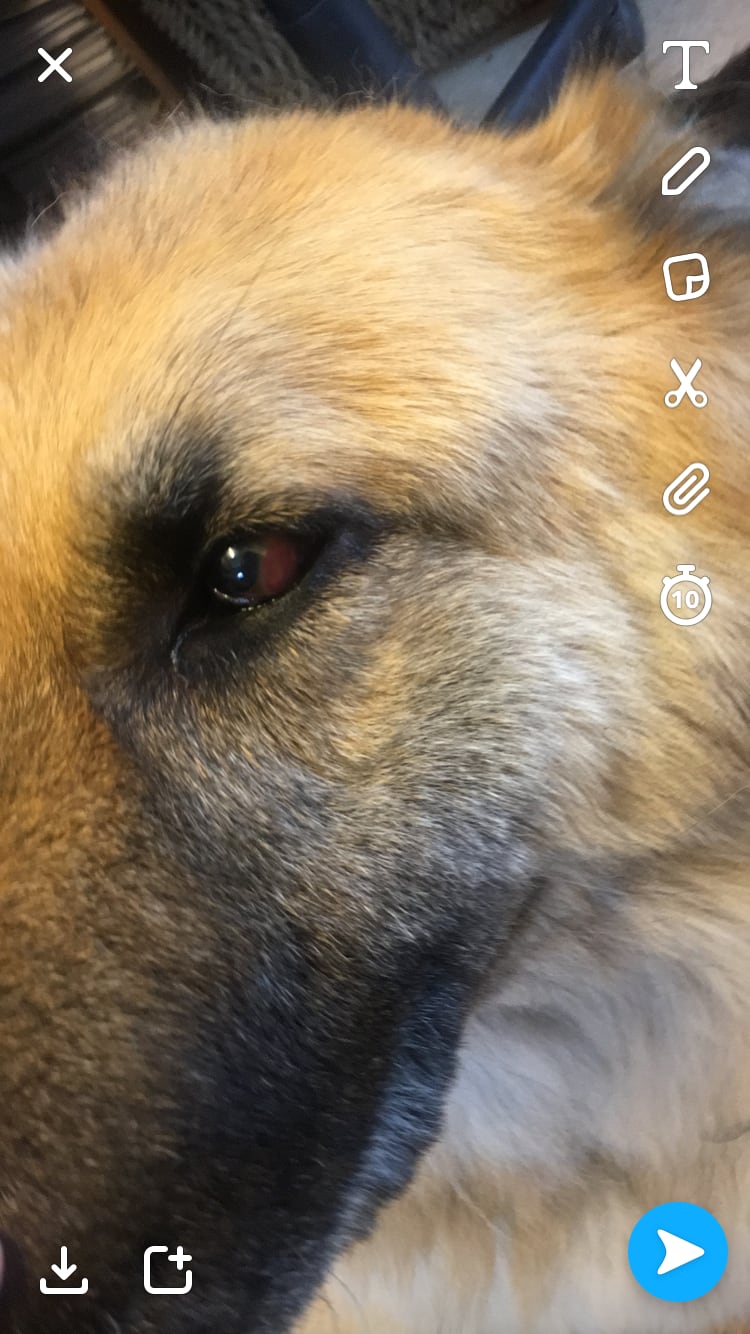 Question details sensitive content