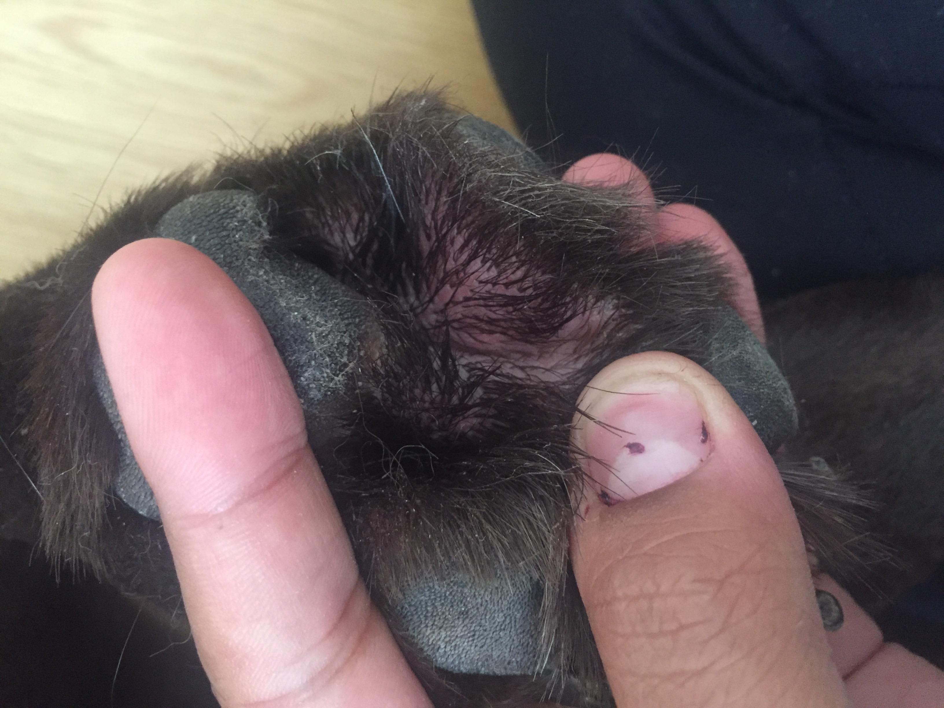 Question details sensitive content