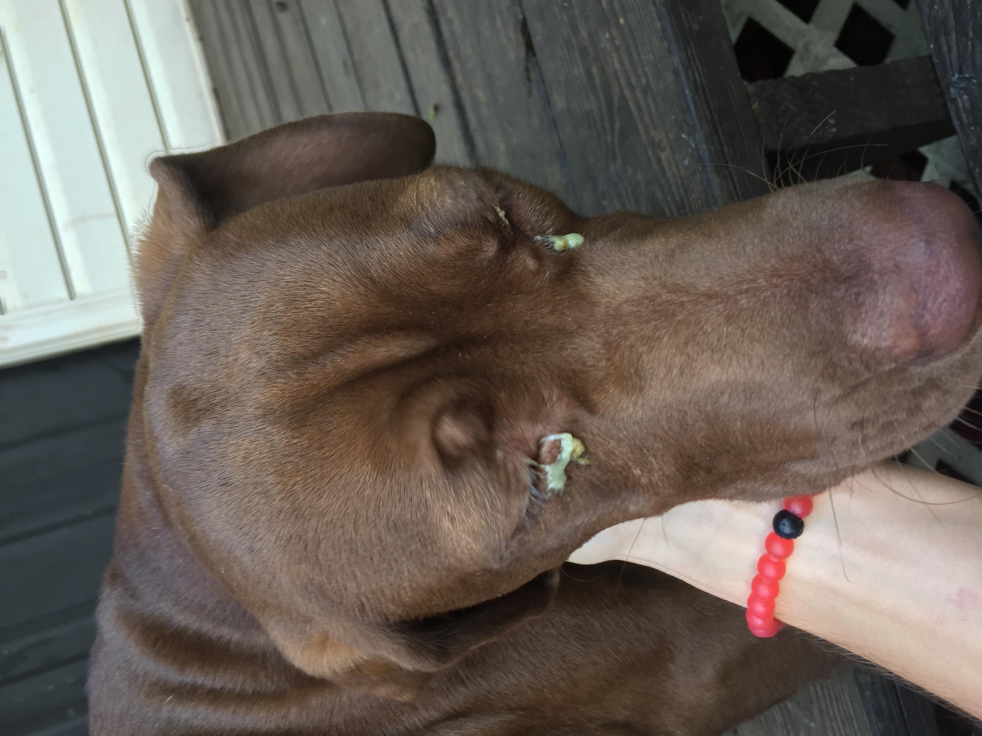 Question details sensitive content