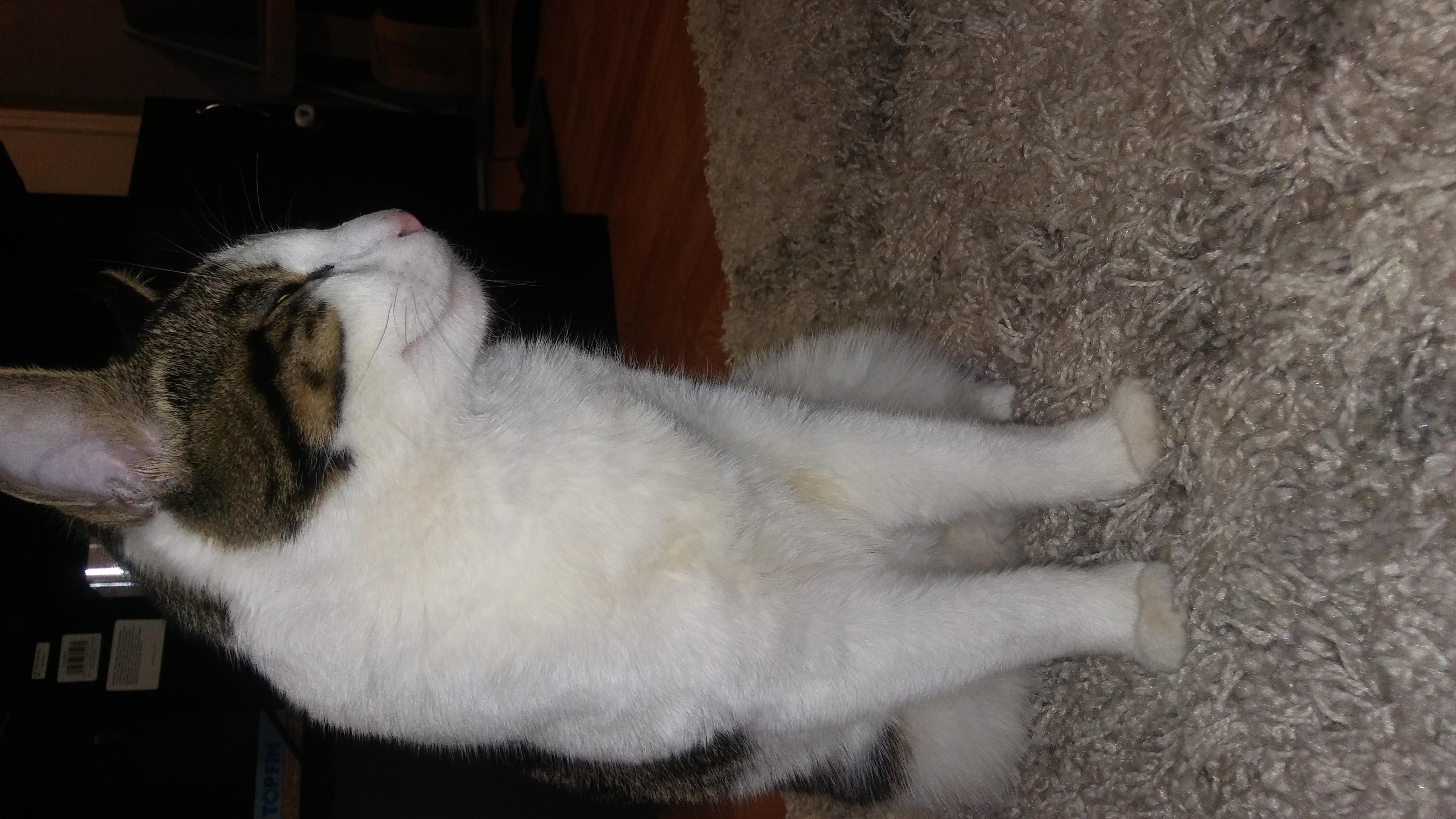 Question details sensitive content