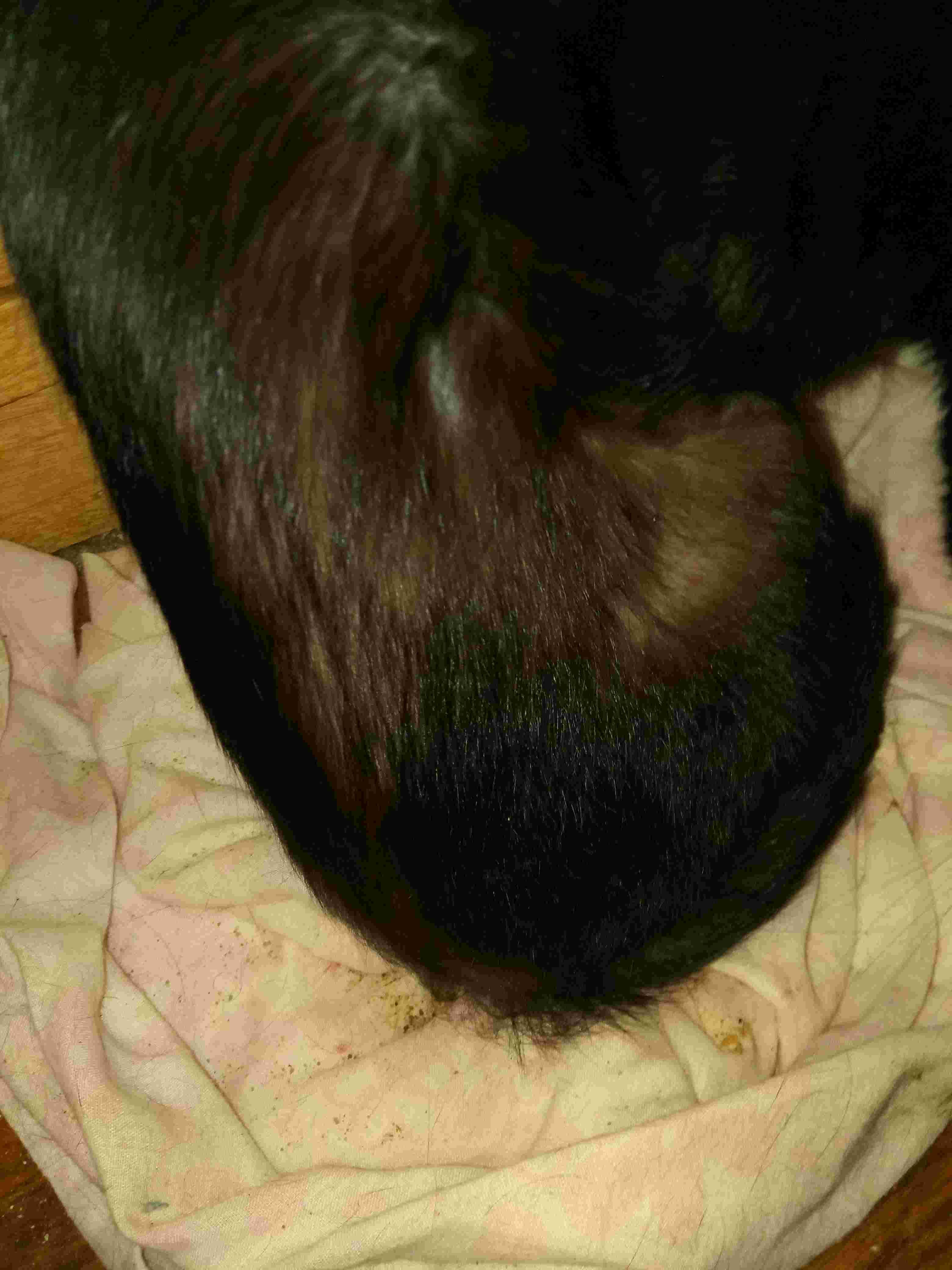 Question details sensitive content