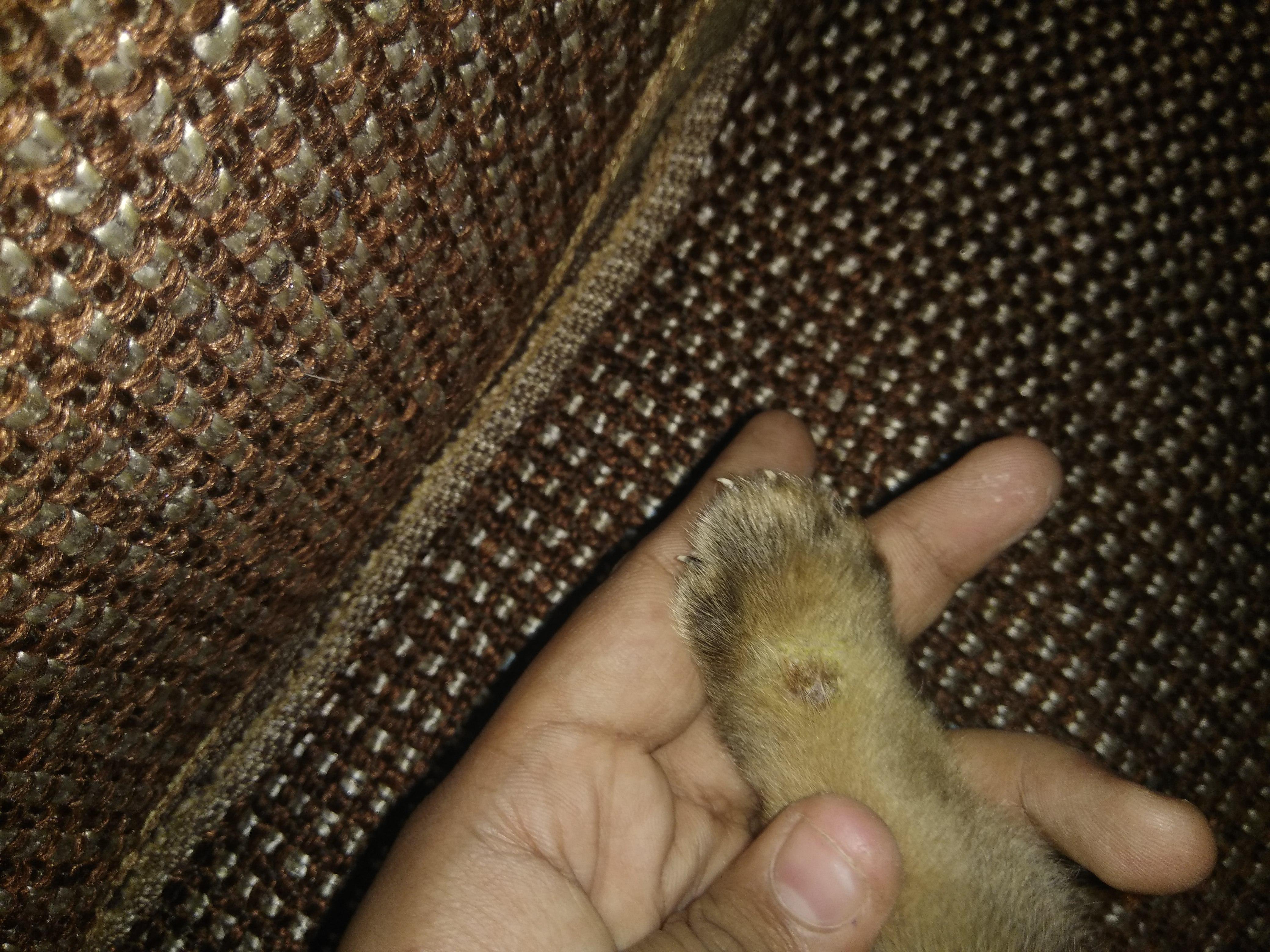 Question details sensitive content