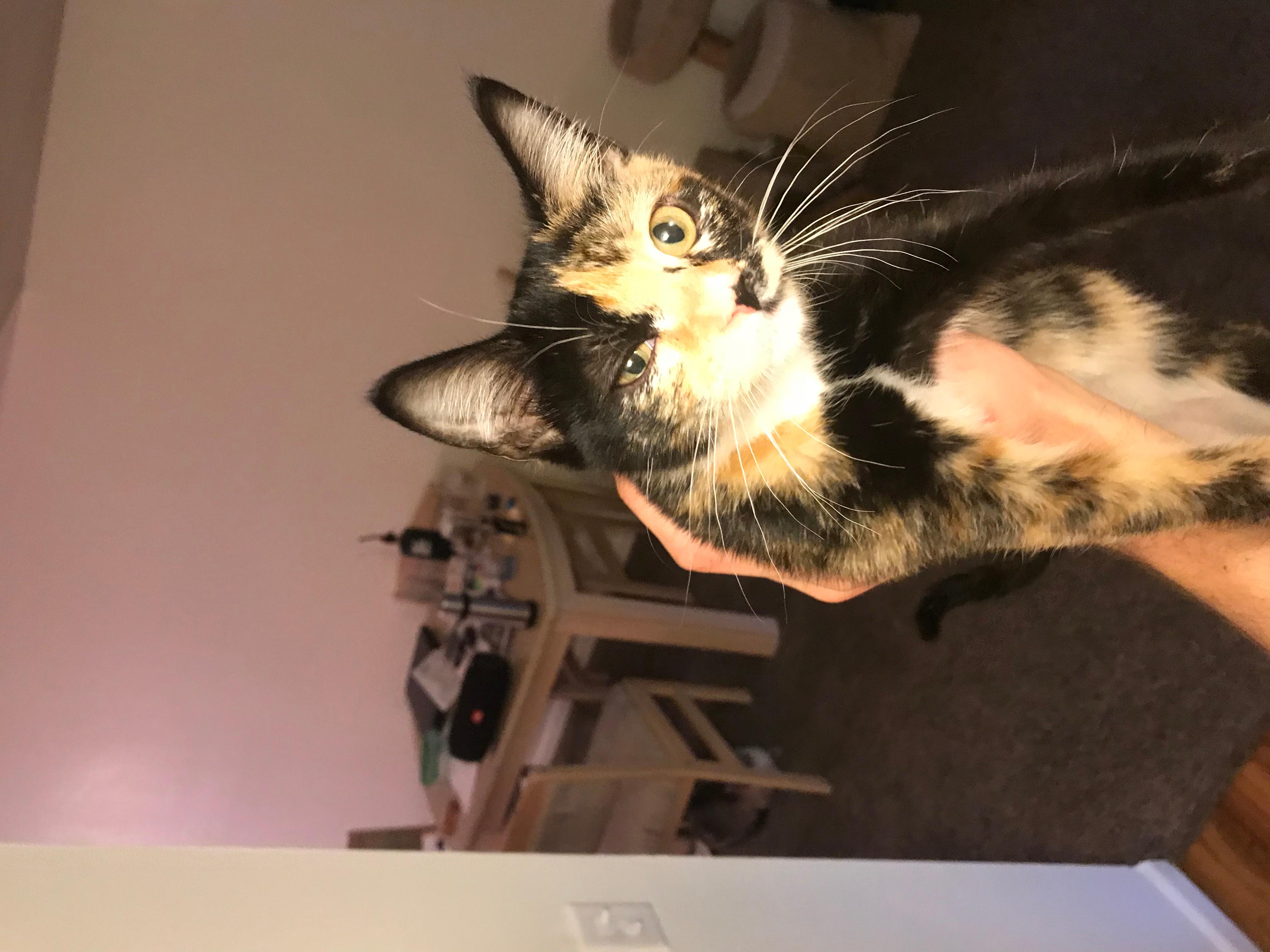 Question details sensitive content