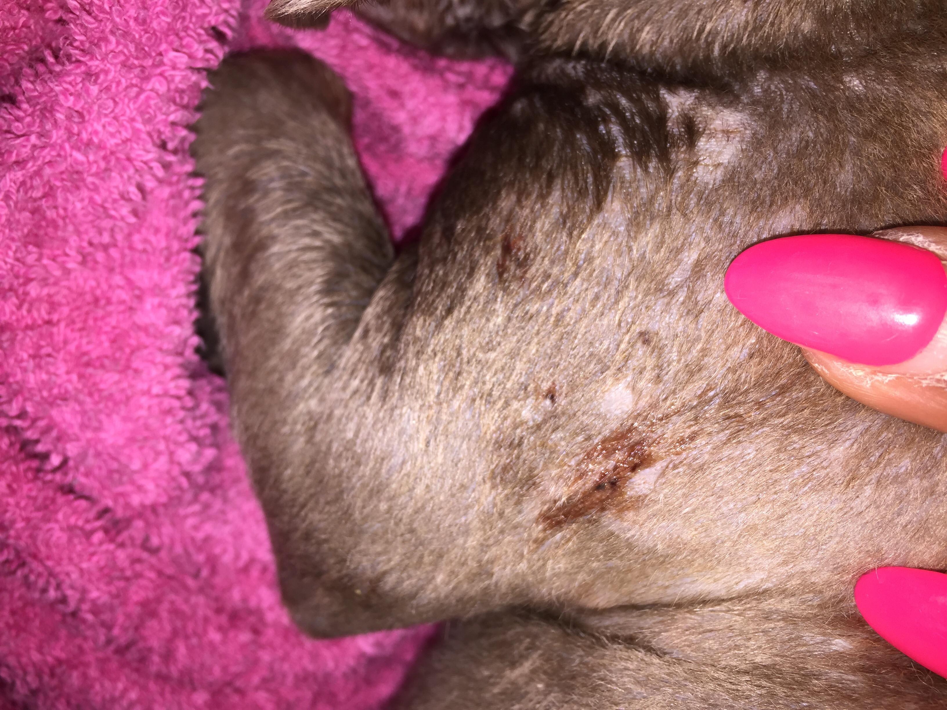 Question details sensitive content