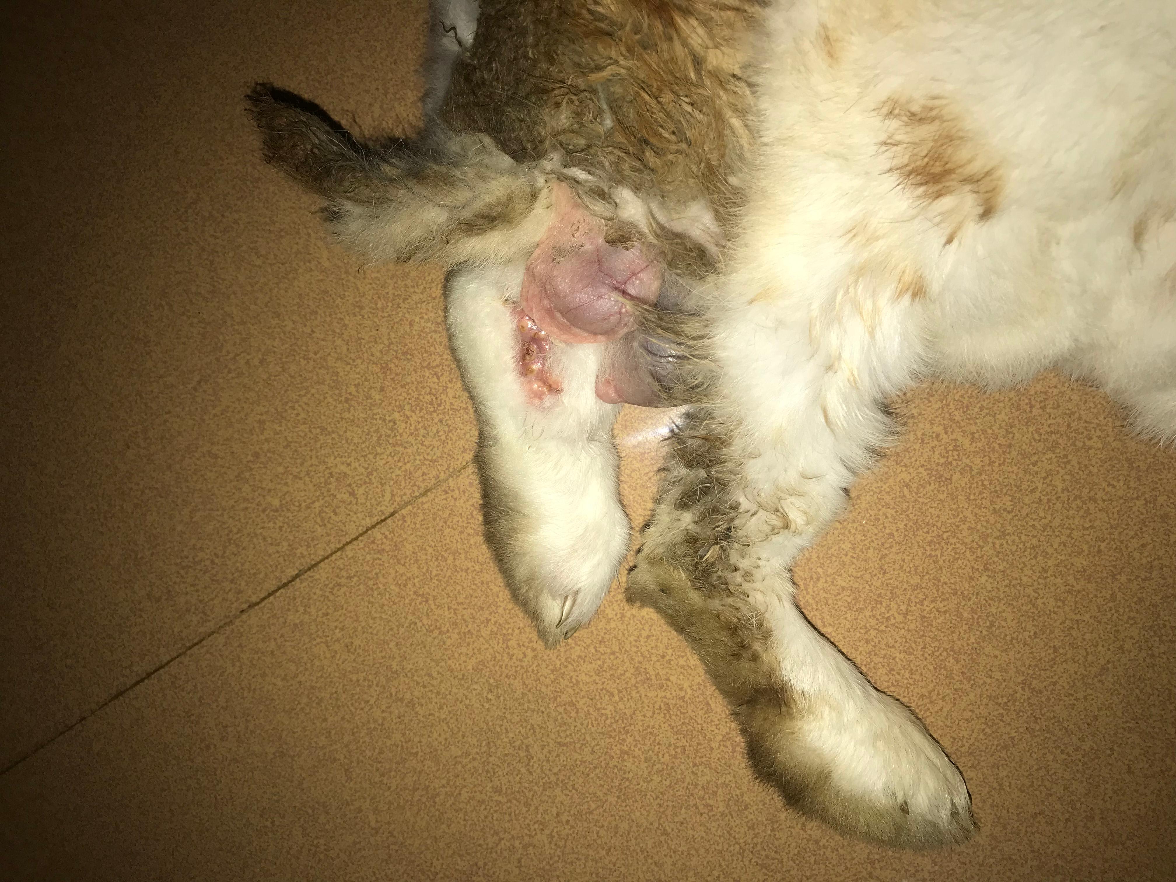 Question details sensitive content