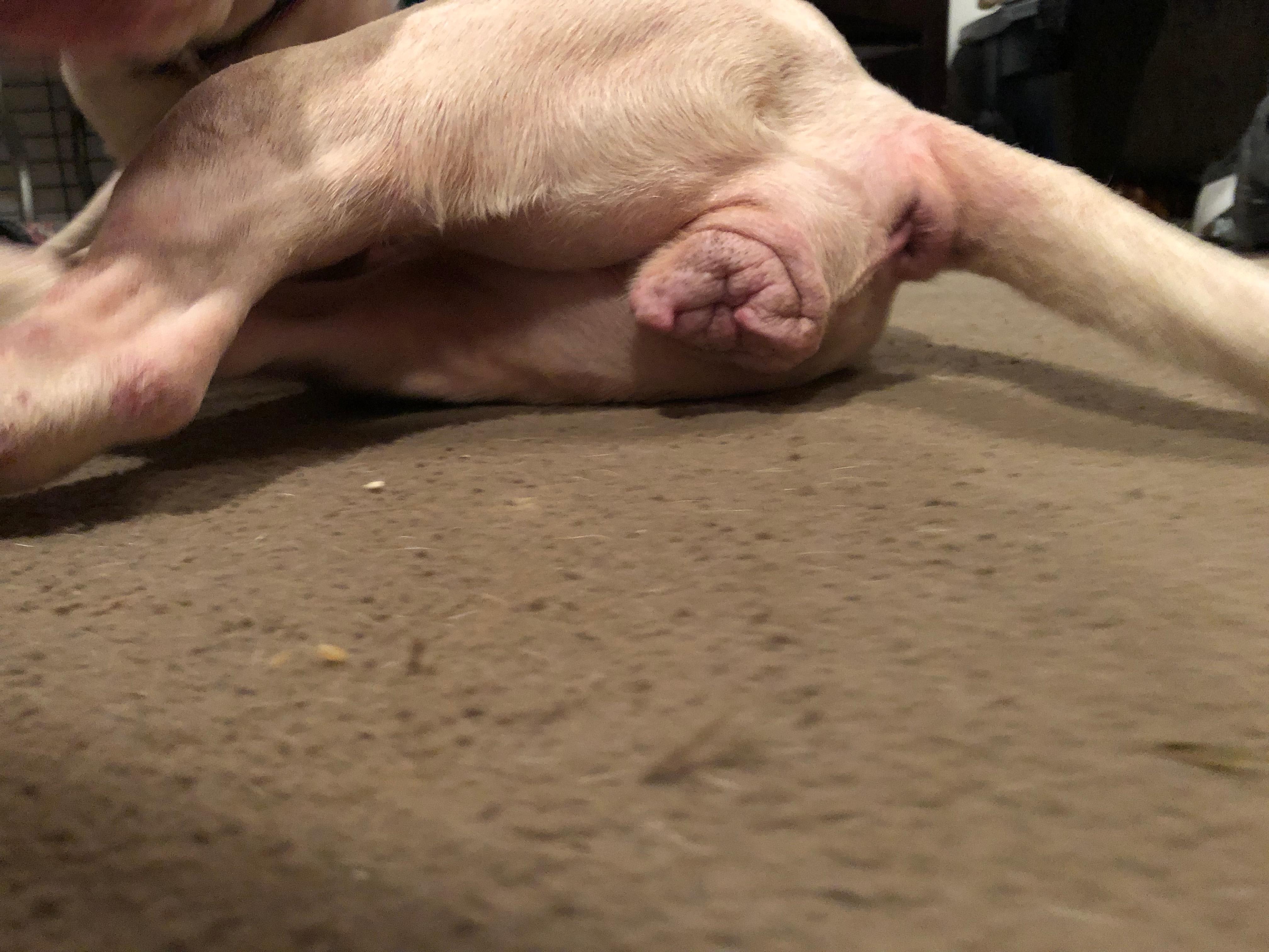 Question details sensitive content