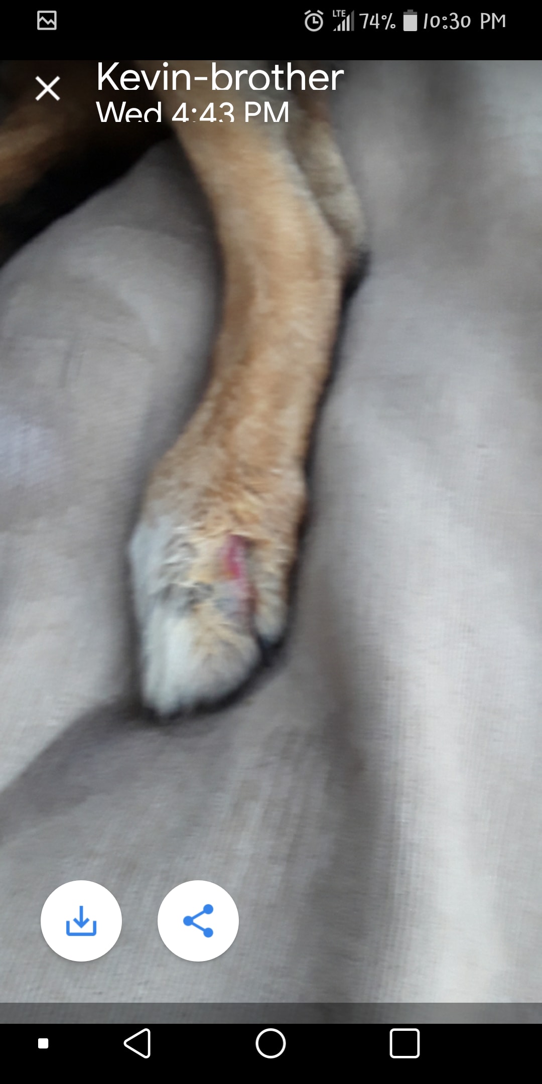 Question details sensitive content