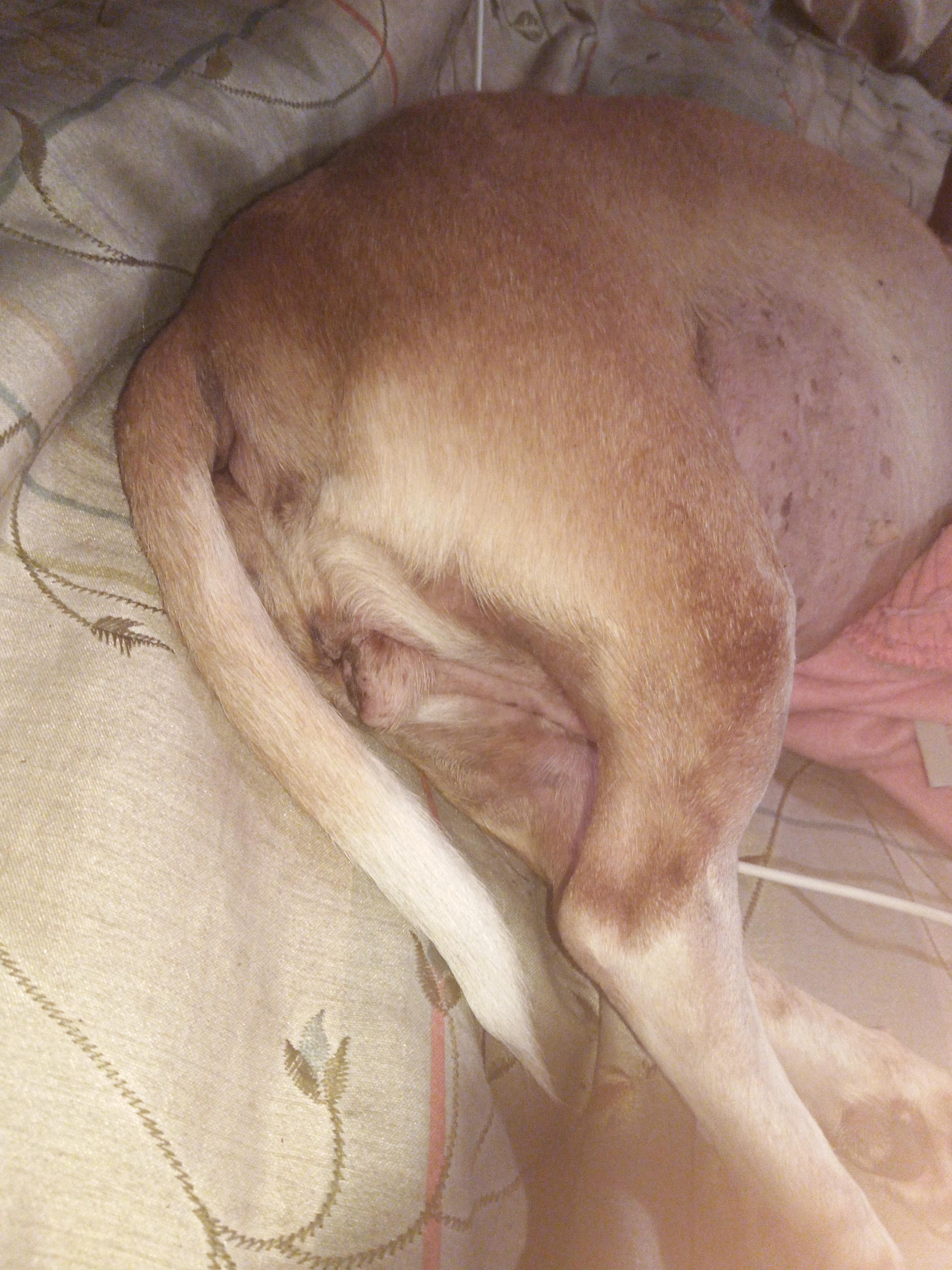 Question details sensitive content