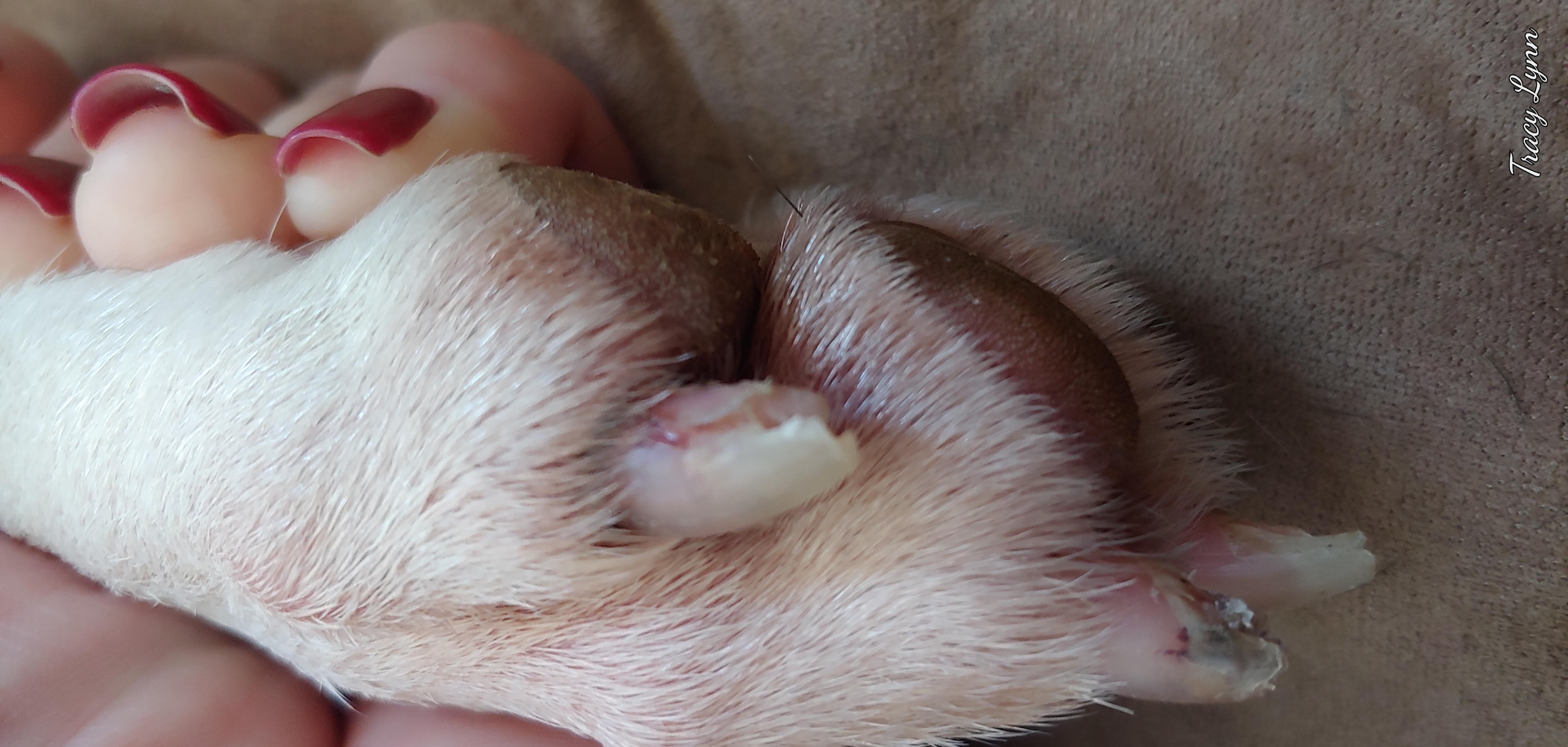 Question details sensitive content