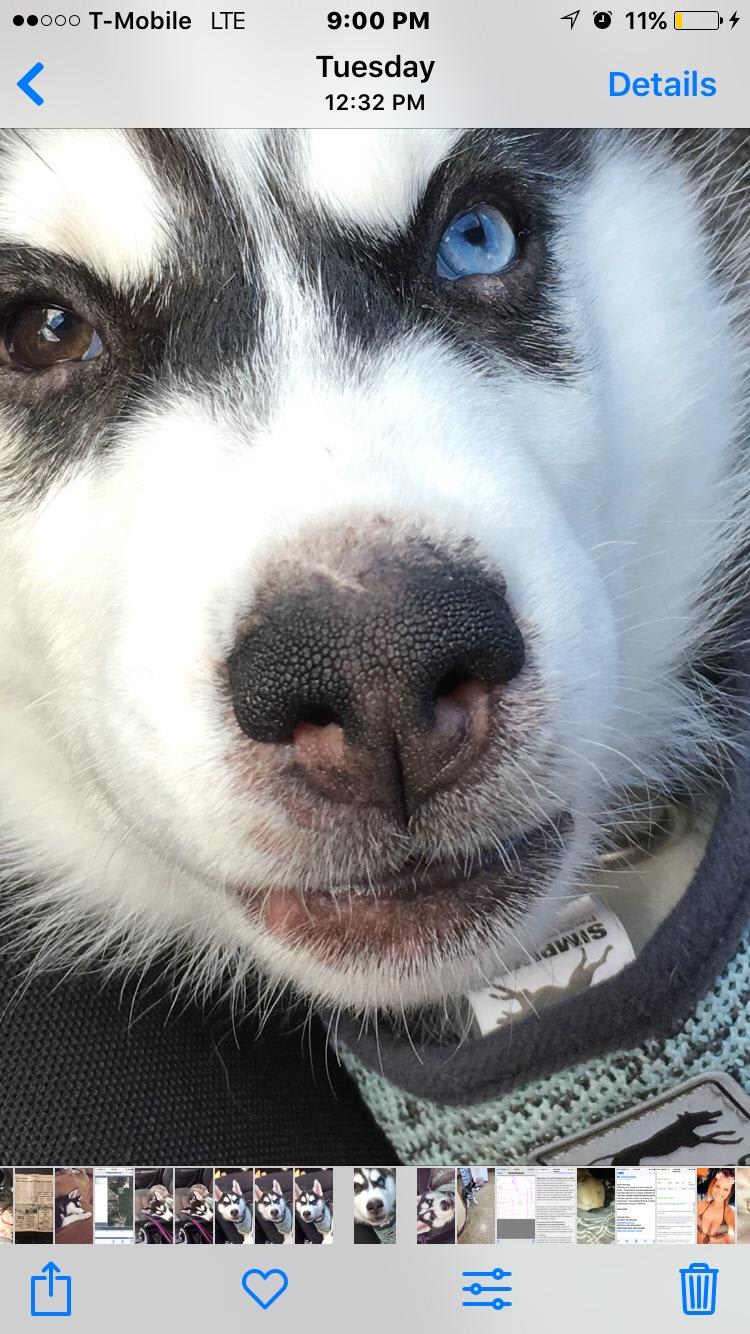 Question details sensitive content