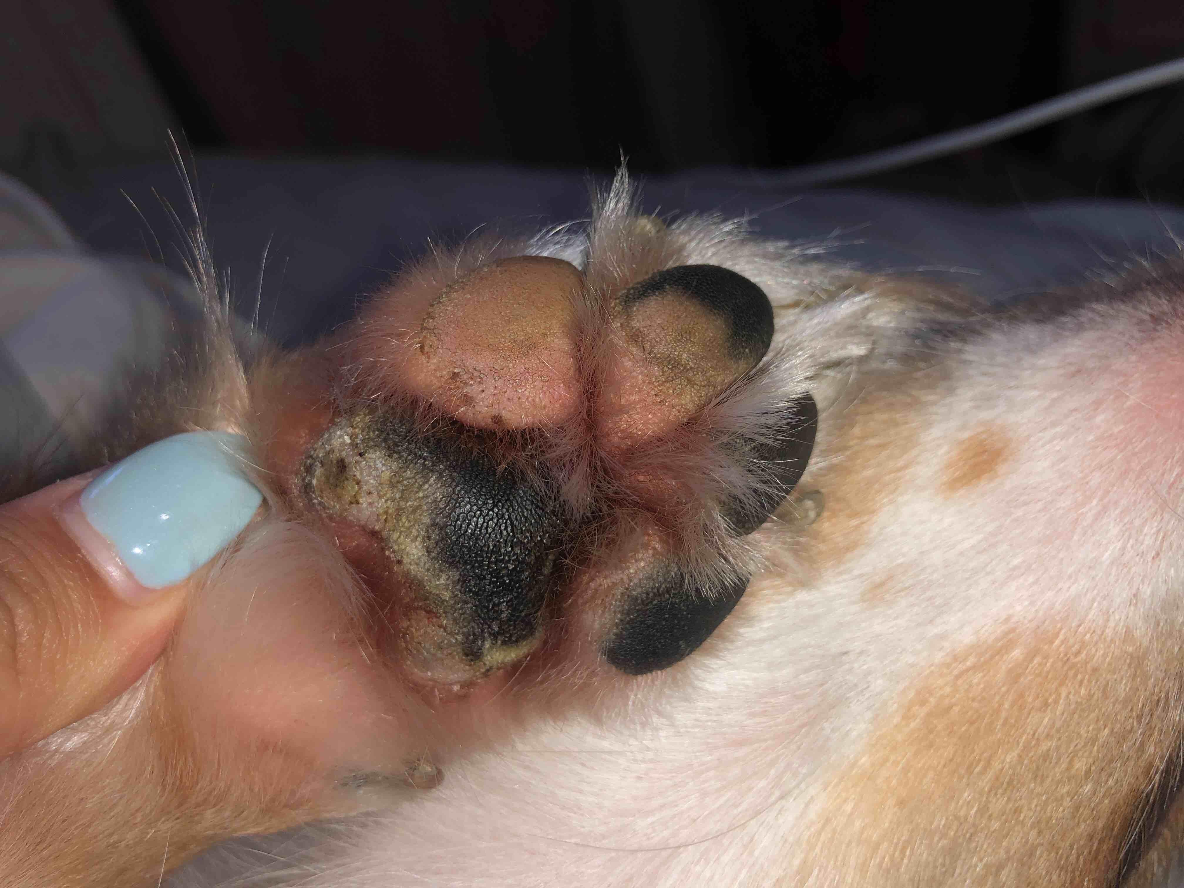 Question details sensitive content