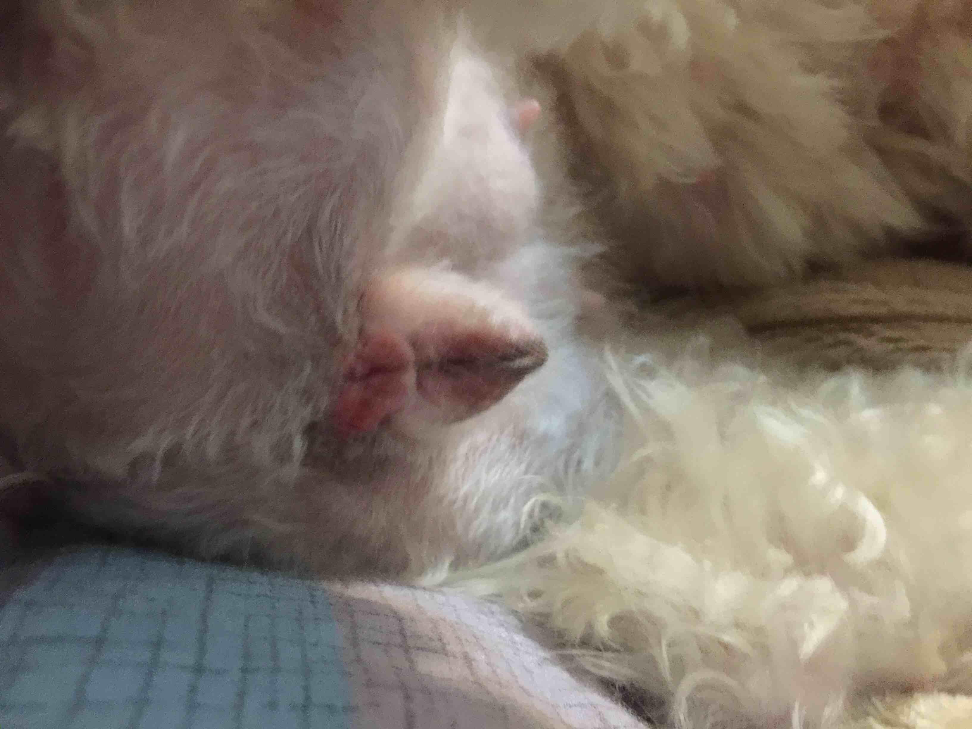 Question details sensitive content