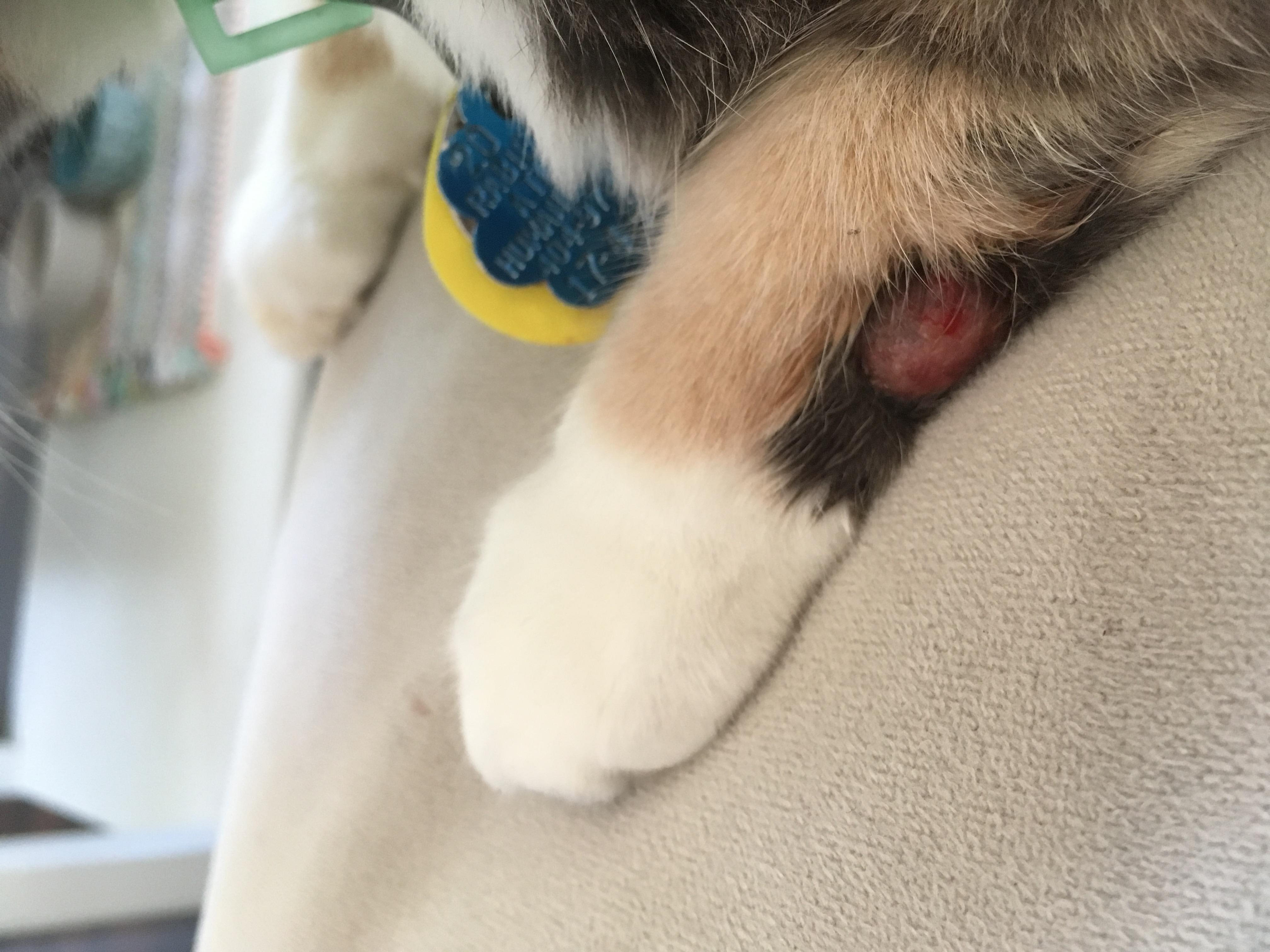 Question details sensitive content