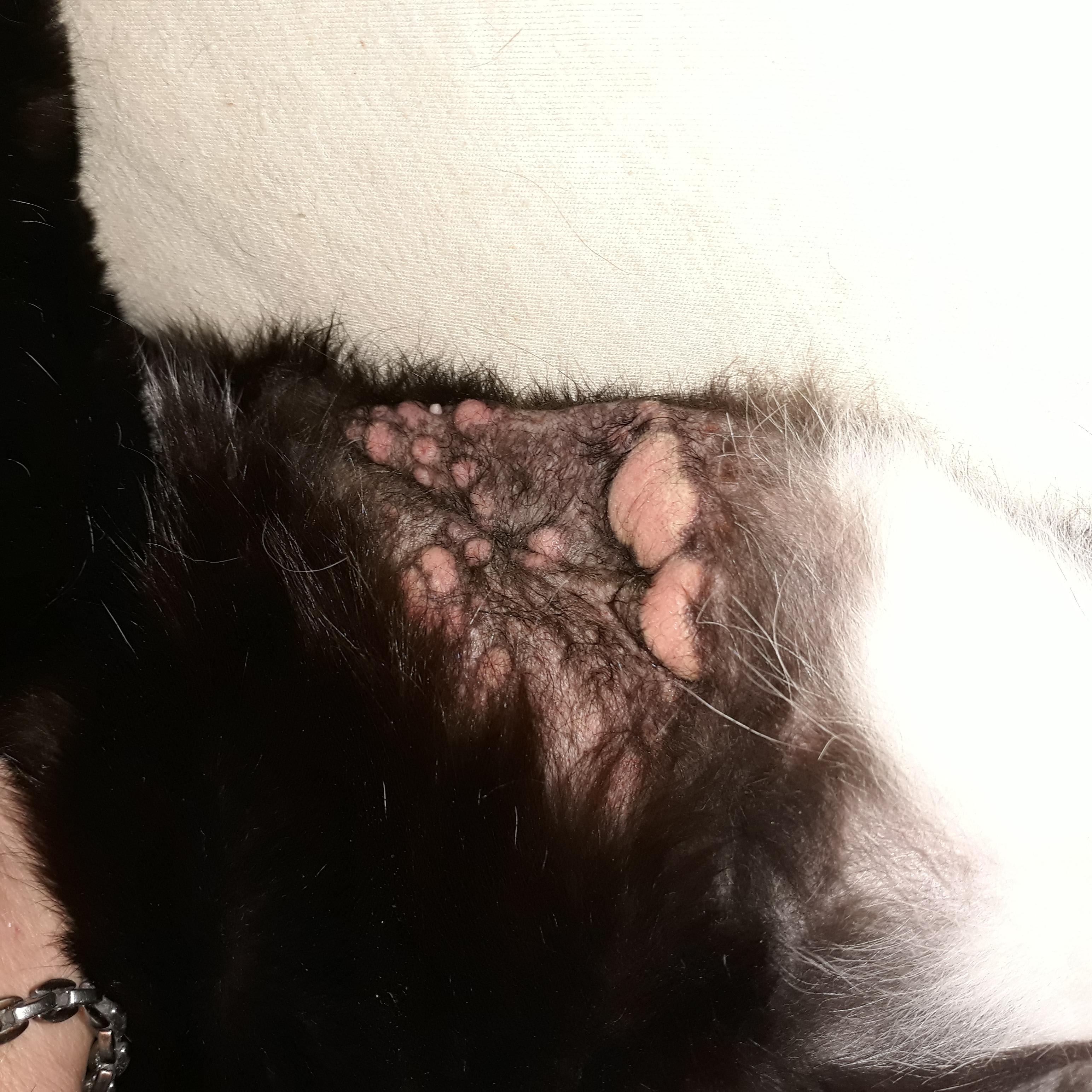 Question details sensitive content