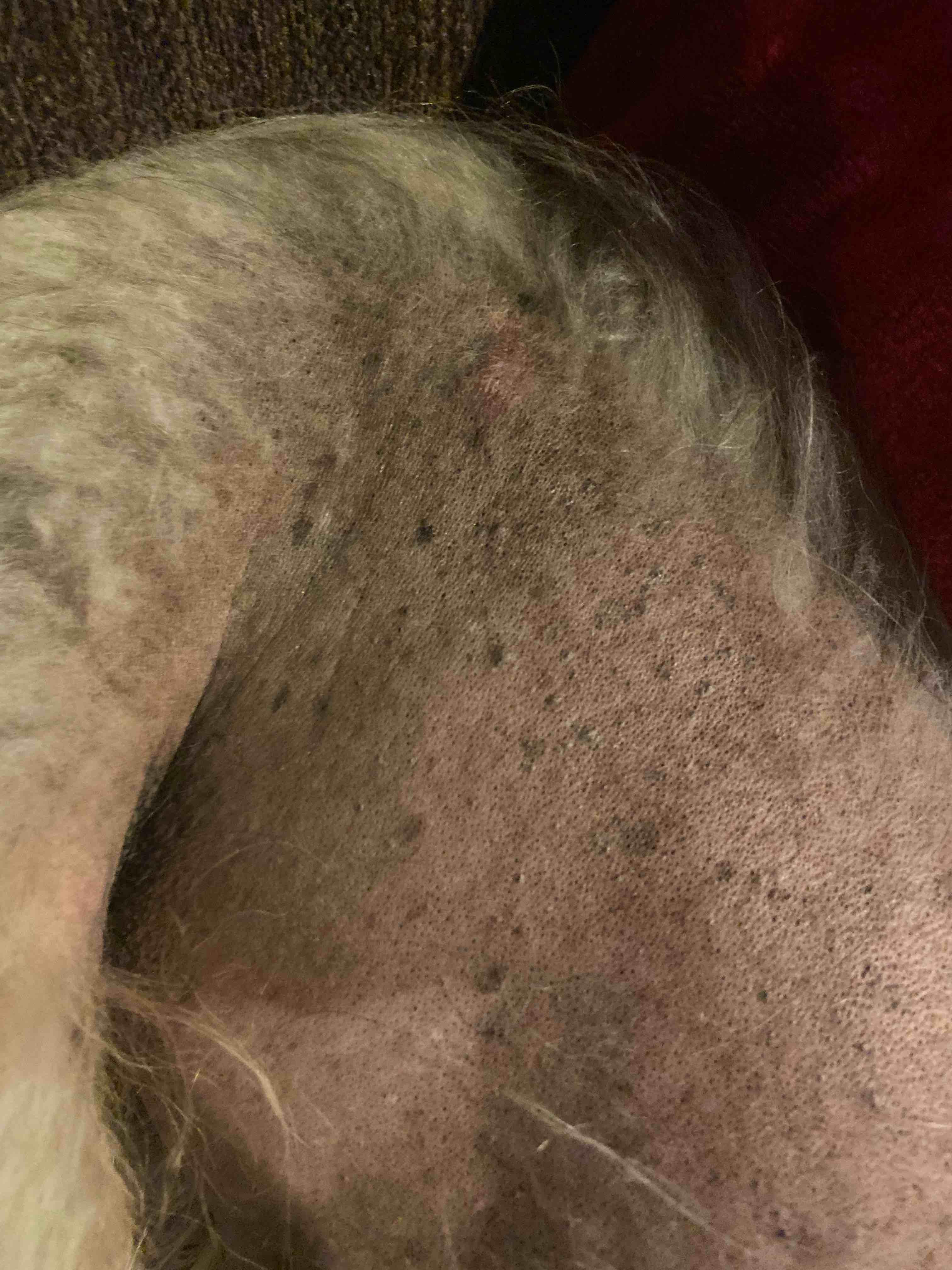 Question details sensitive content