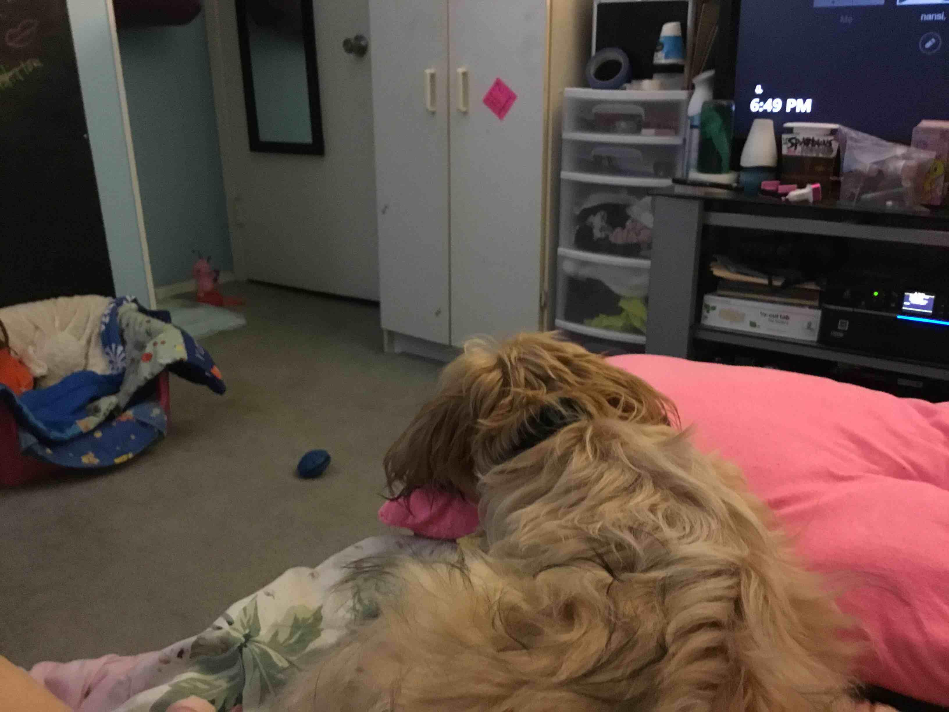 Question details sensitive content