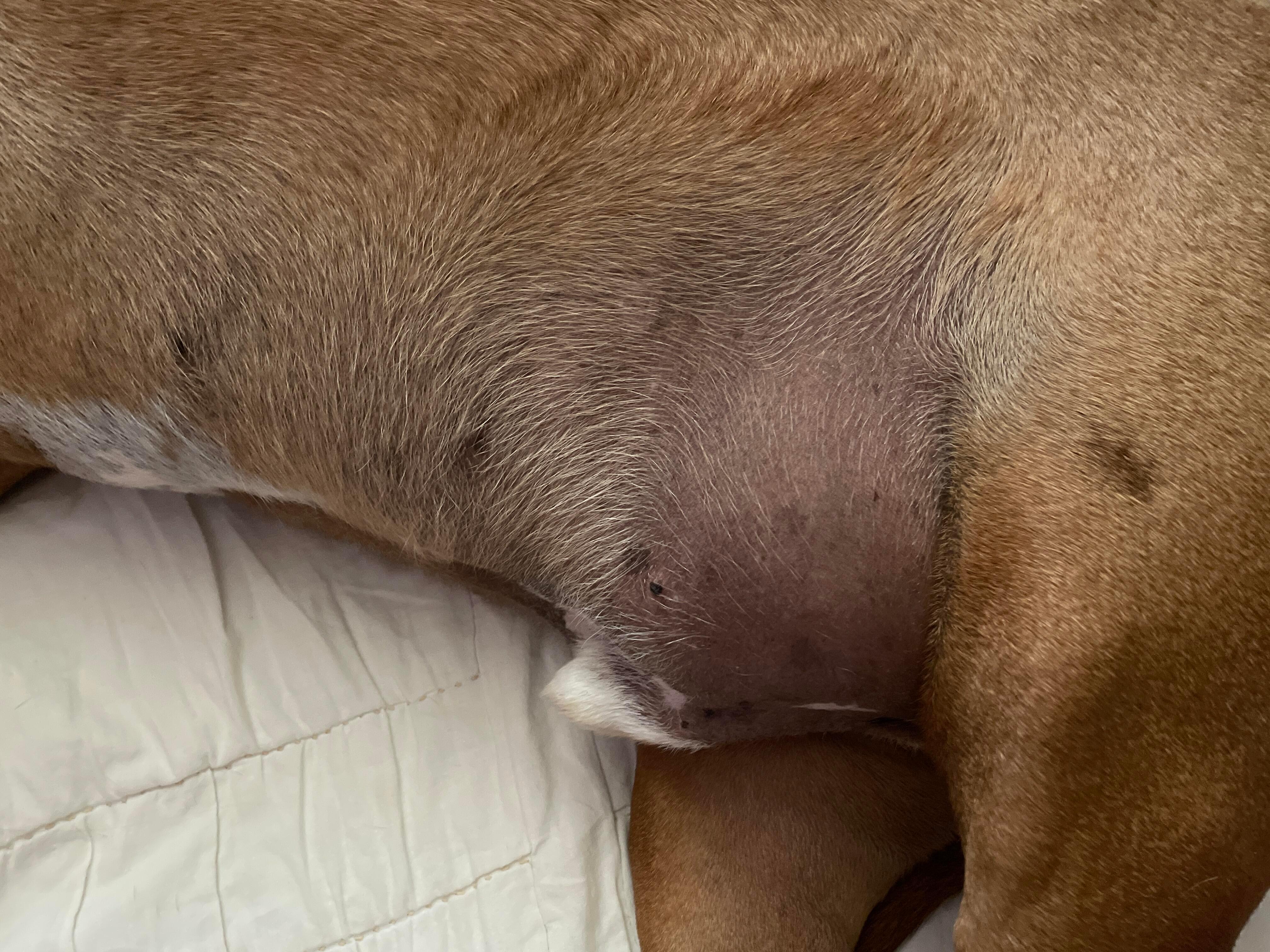 Question details sensitive content