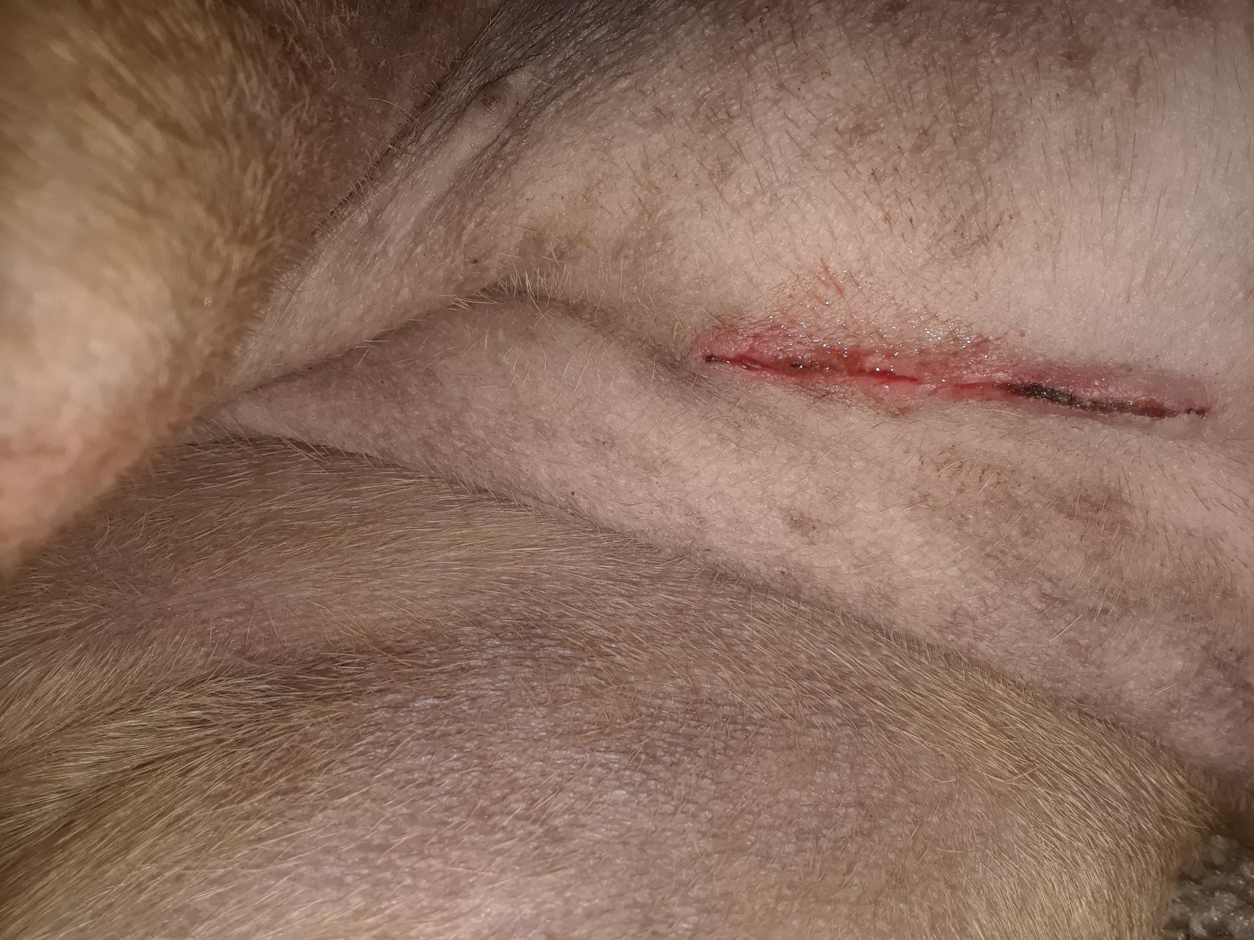 Question details sensitive content