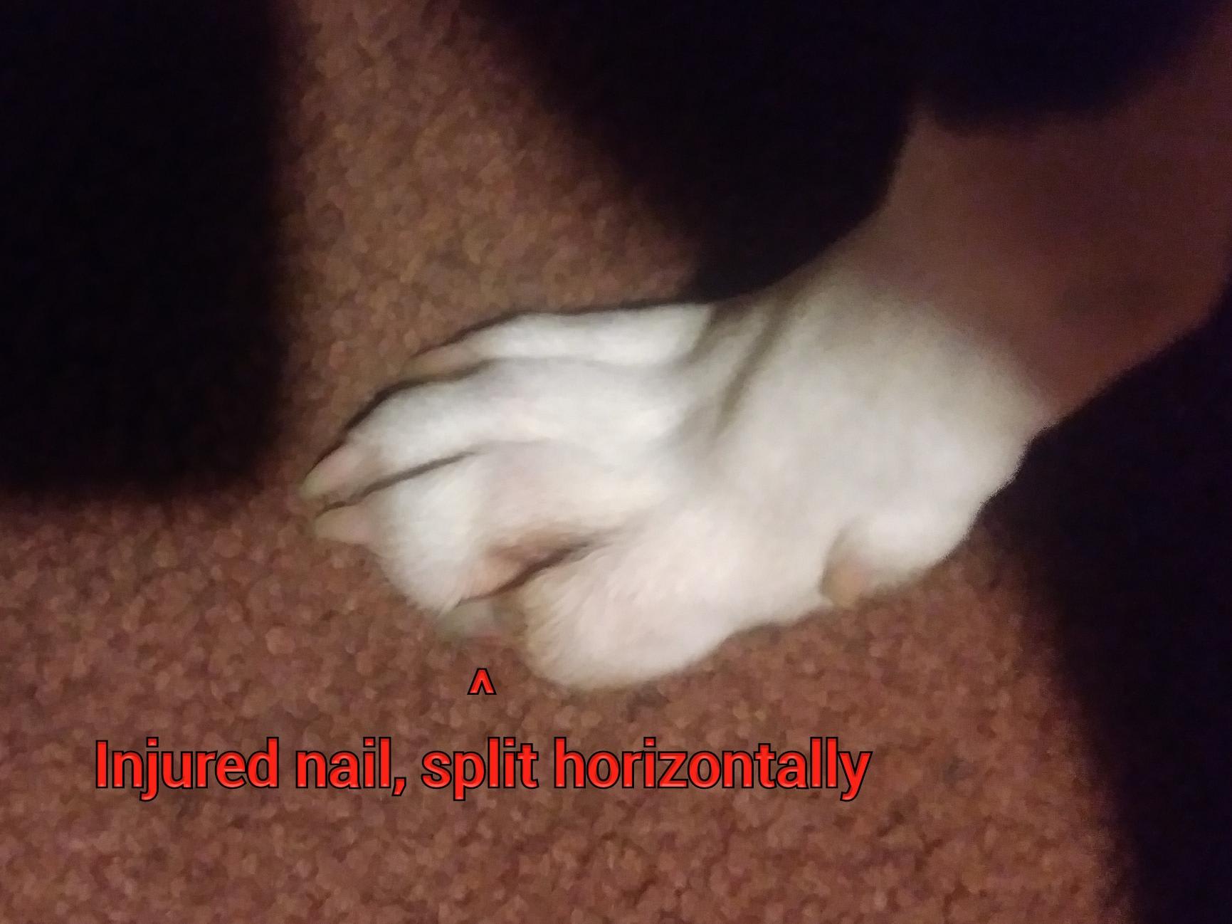 Question details sensitive content