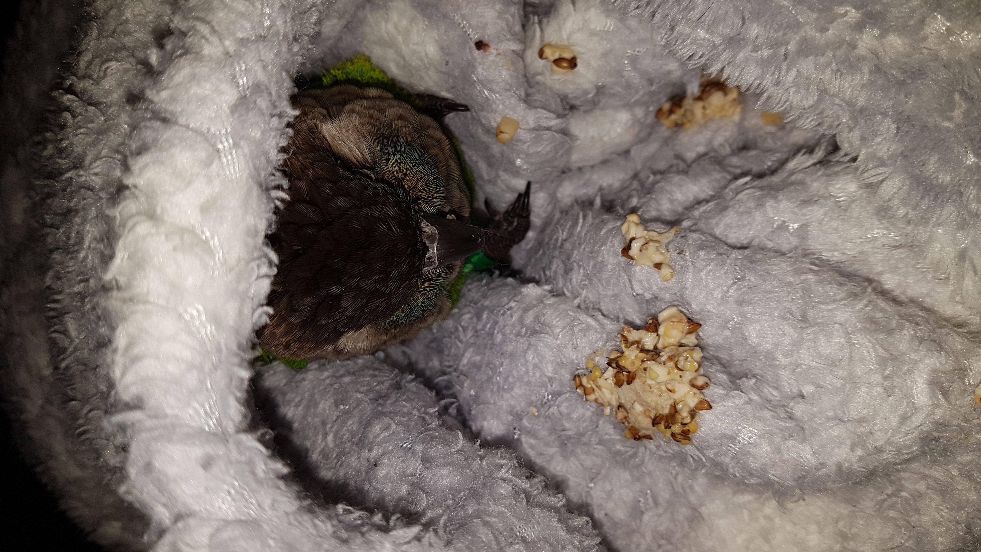 Question details sensitive content