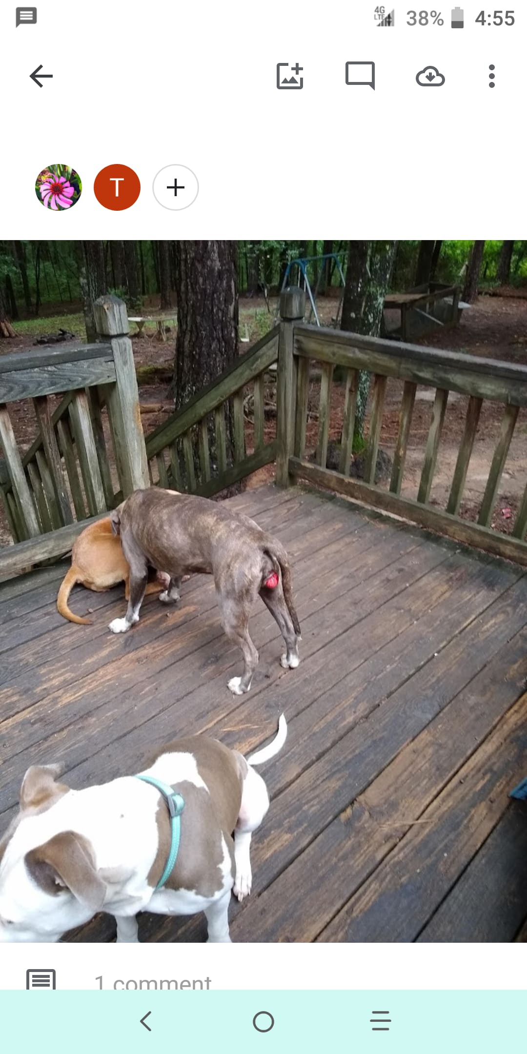 Question details sensitive content