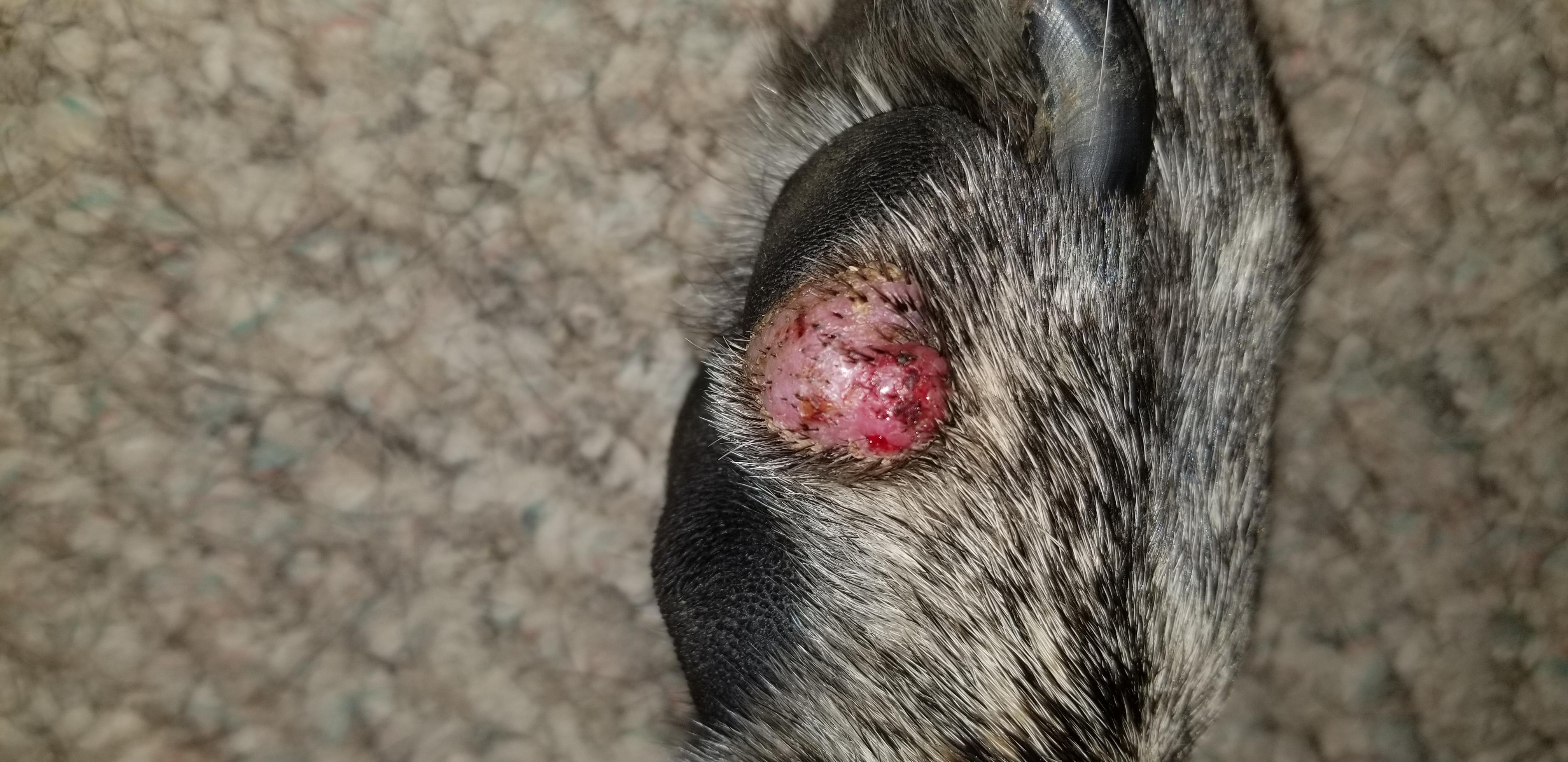 Question details sensitive content