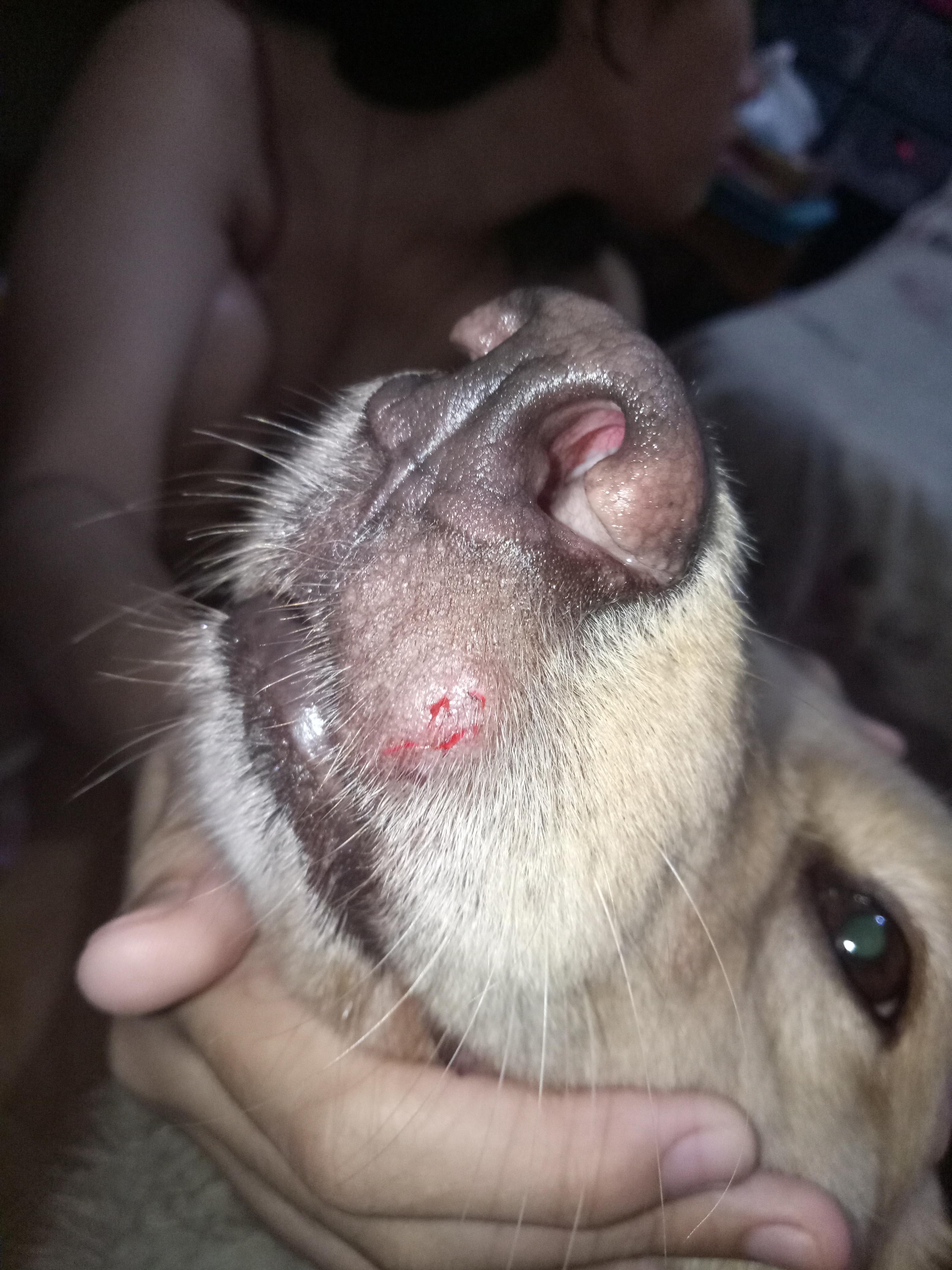 Question details sensitive content