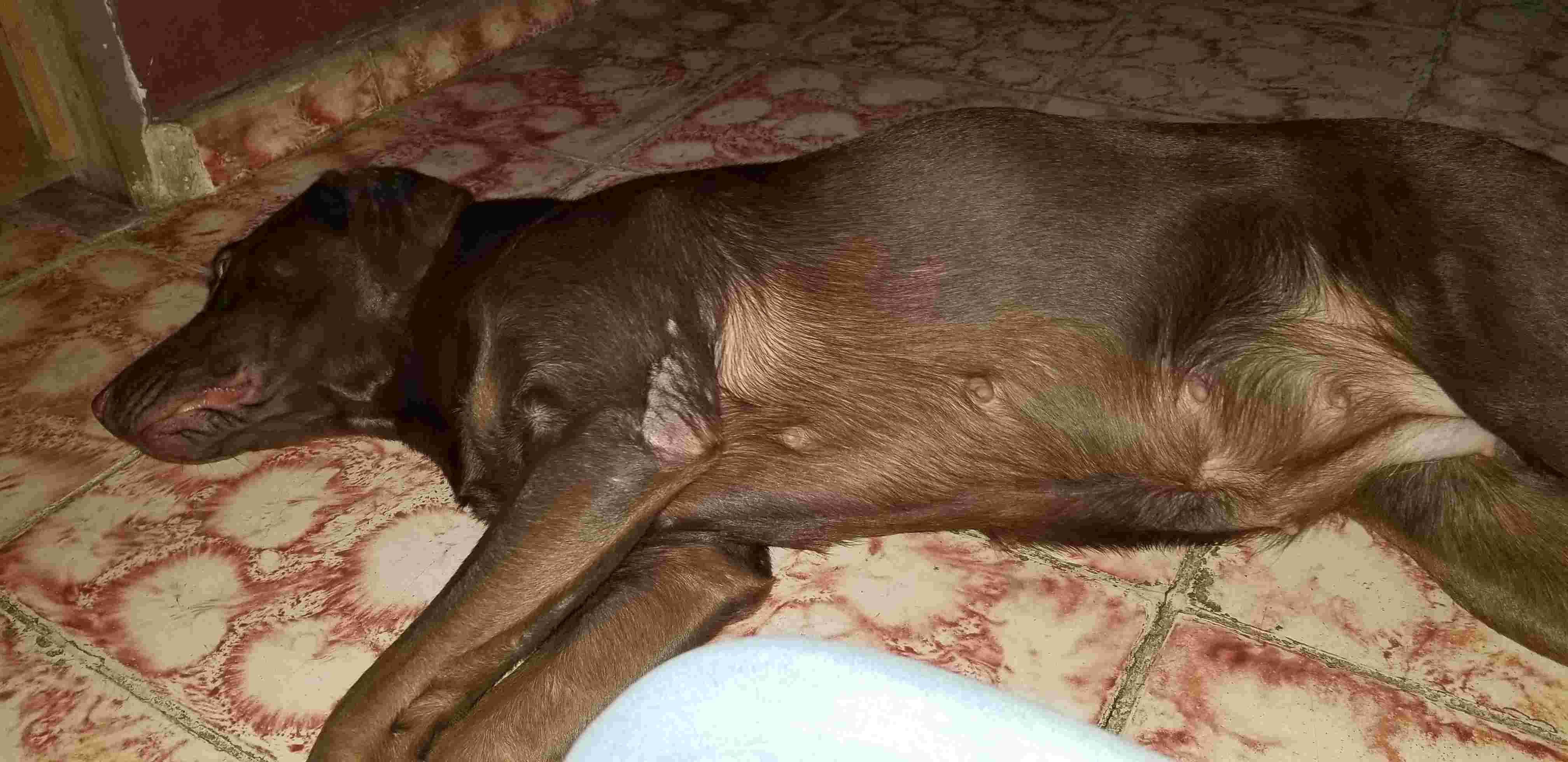 Question details sensitive content