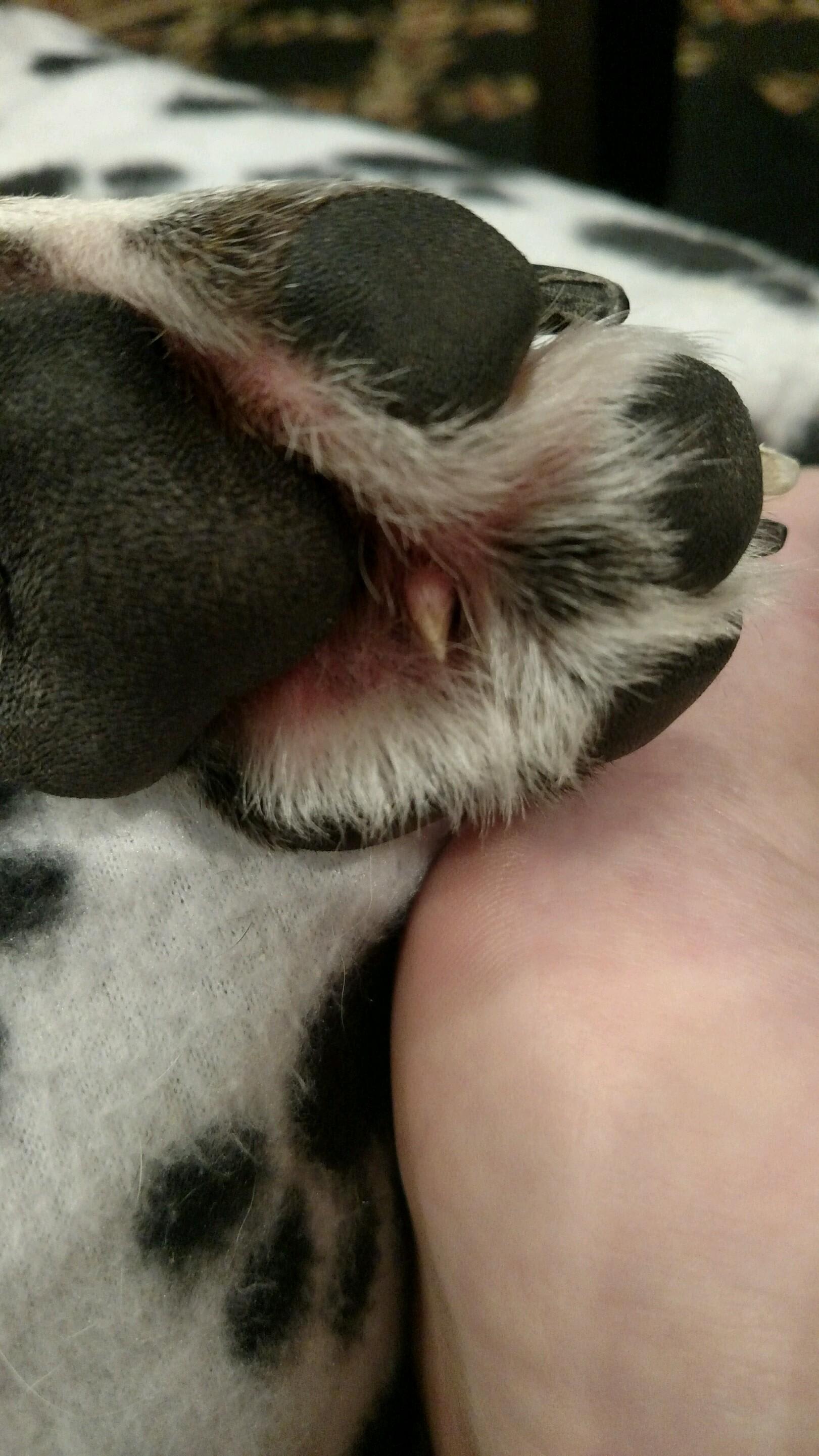 Question details sensitive content