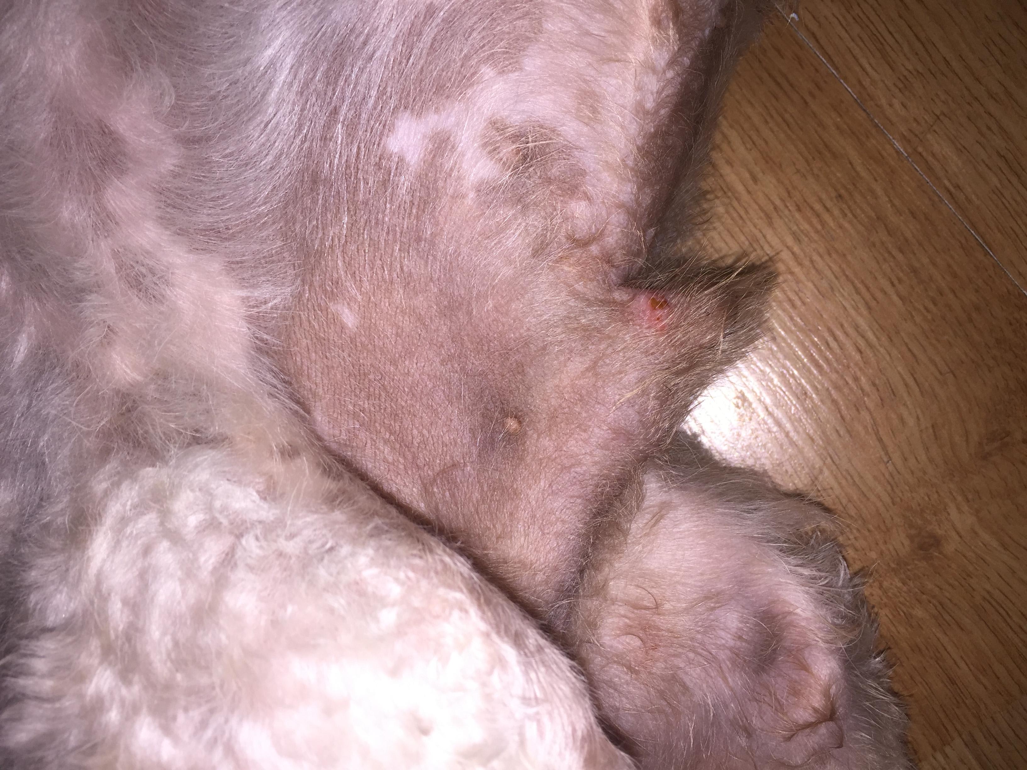 Question details sensitive content