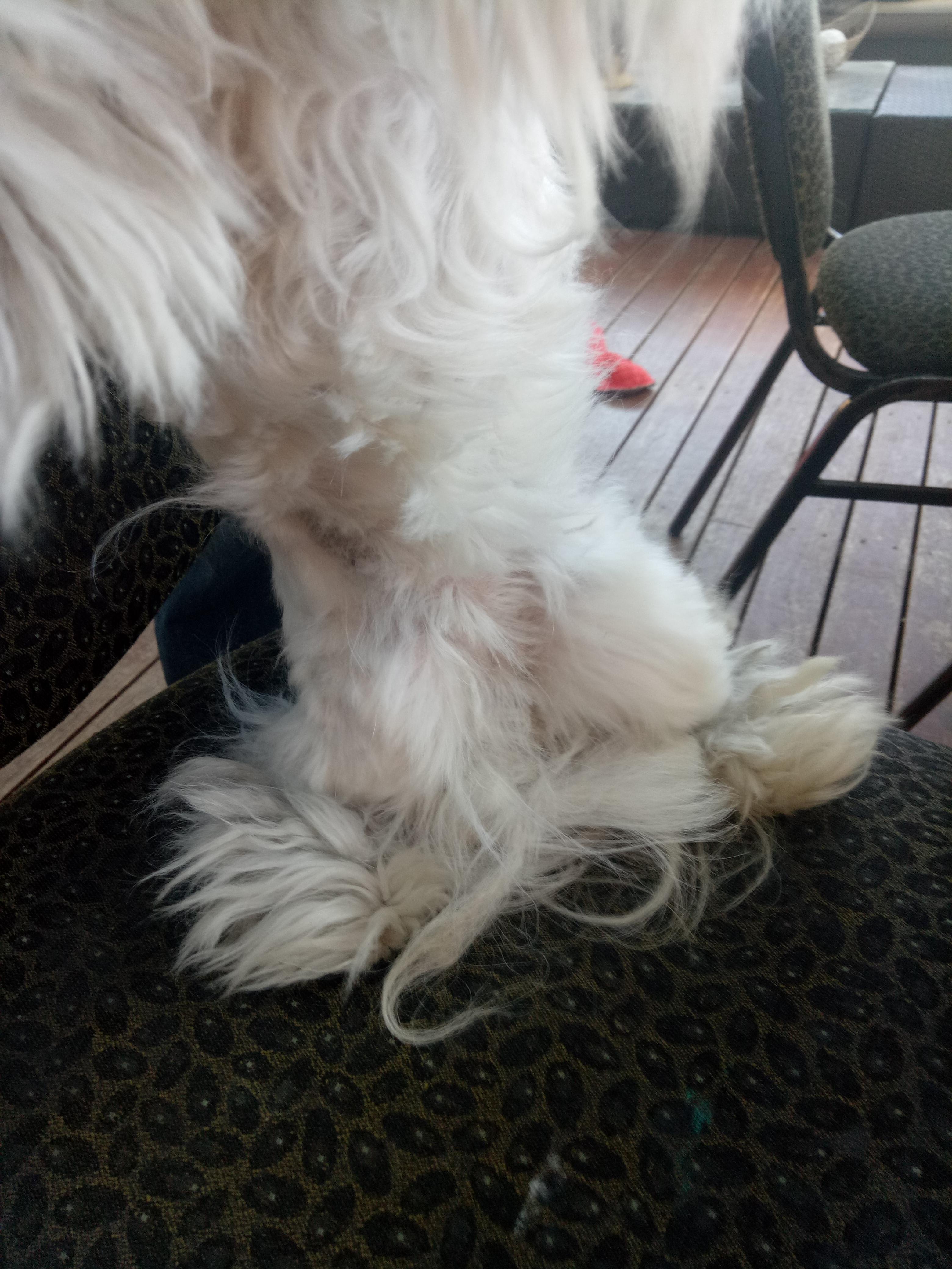 Question details sensitive content