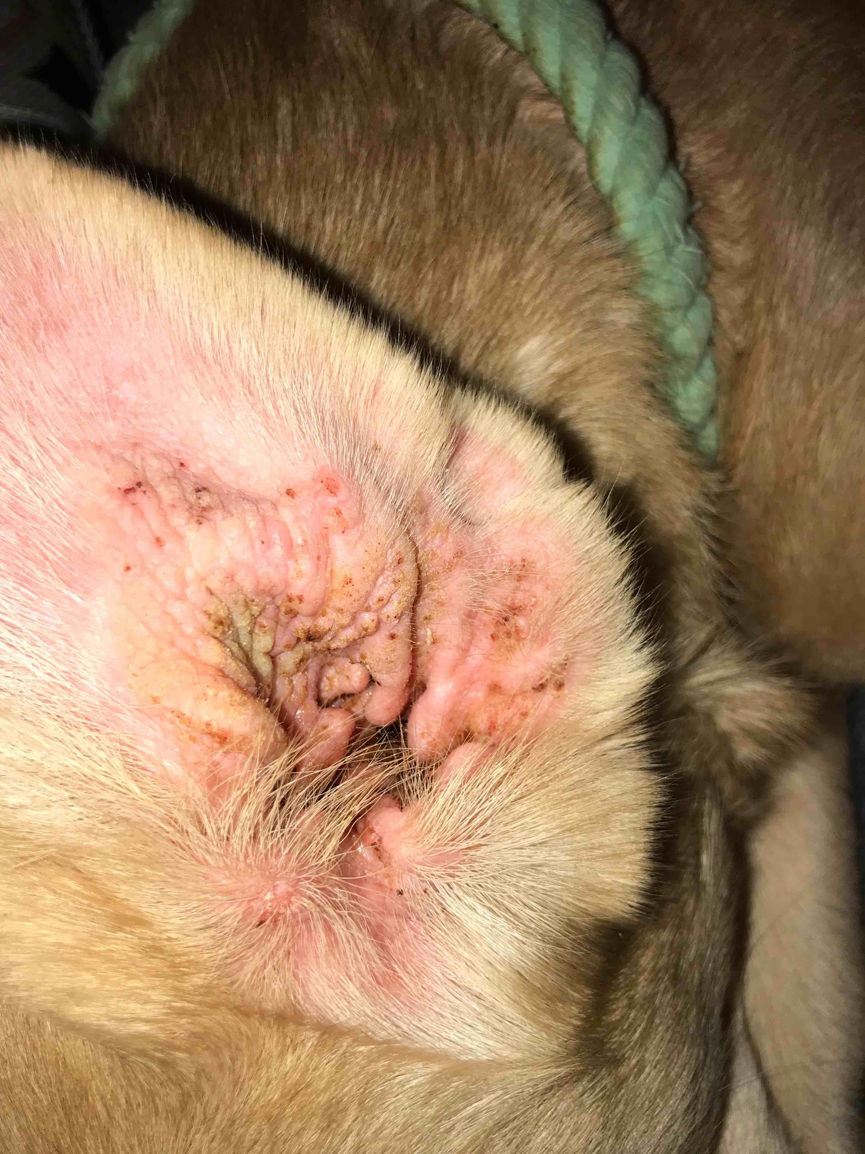 Question details sensitive content