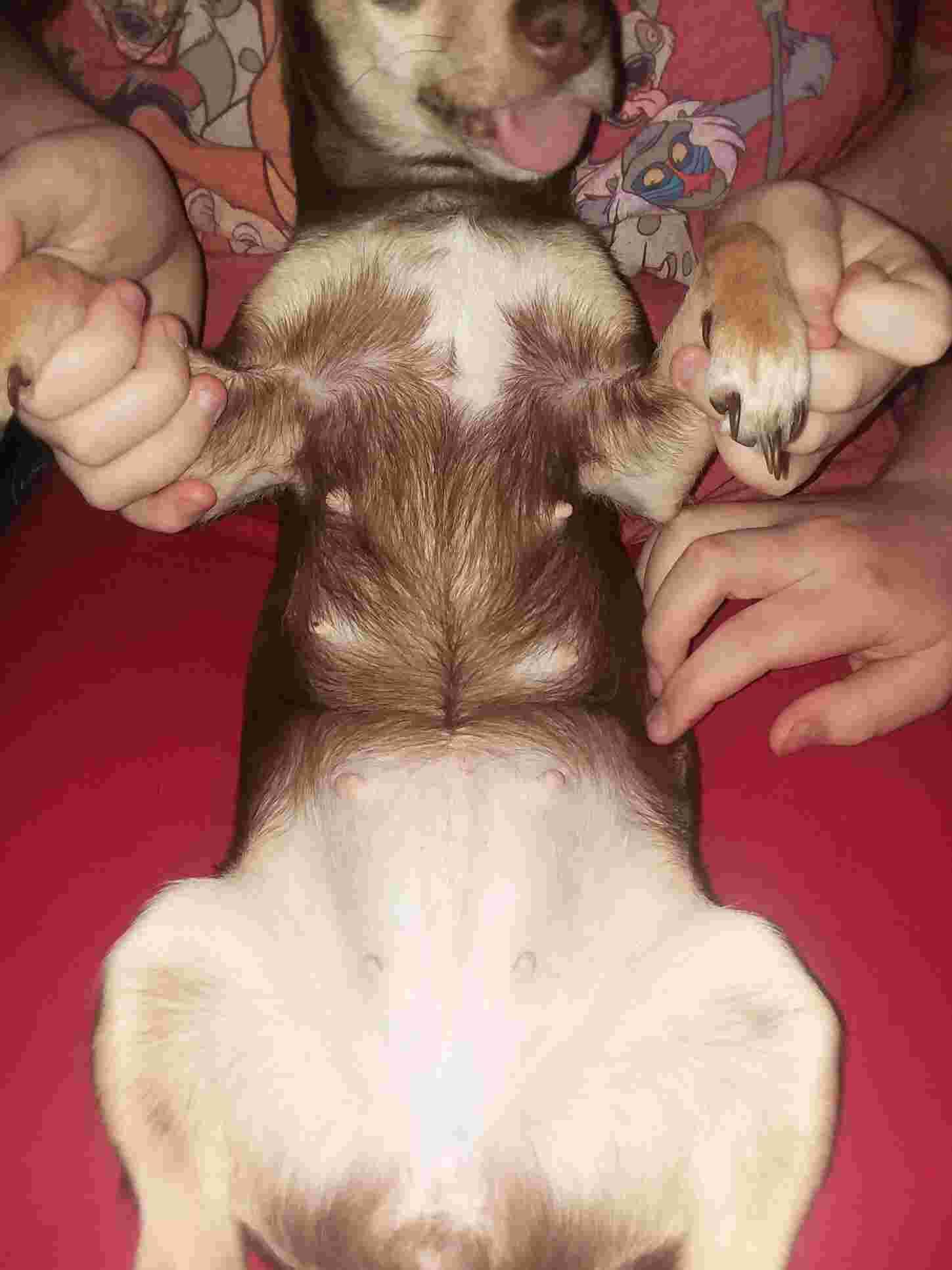 Question details sensitive content