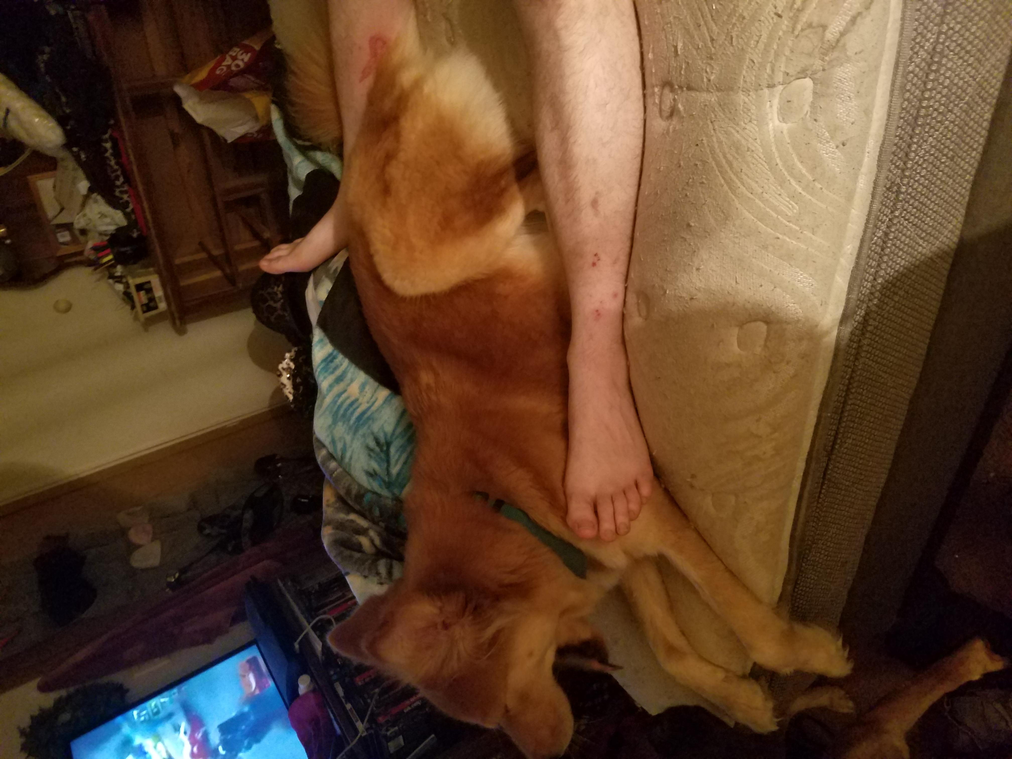 Question details sensitive content