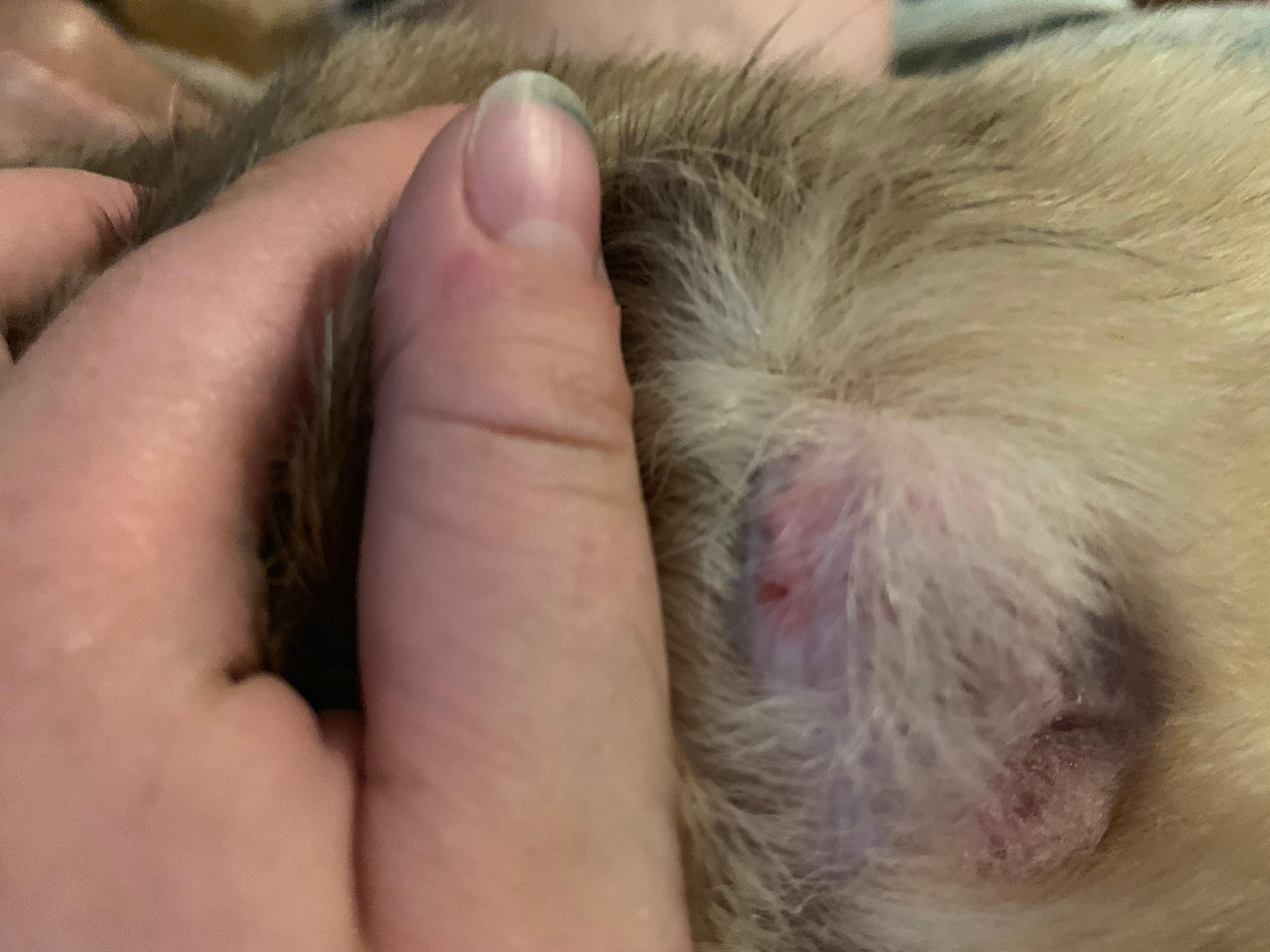 Question details sensitive content