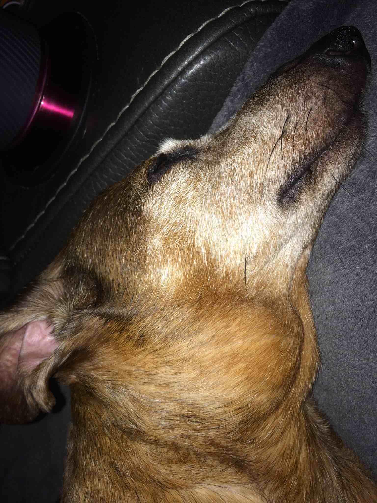 Question details sensitive content