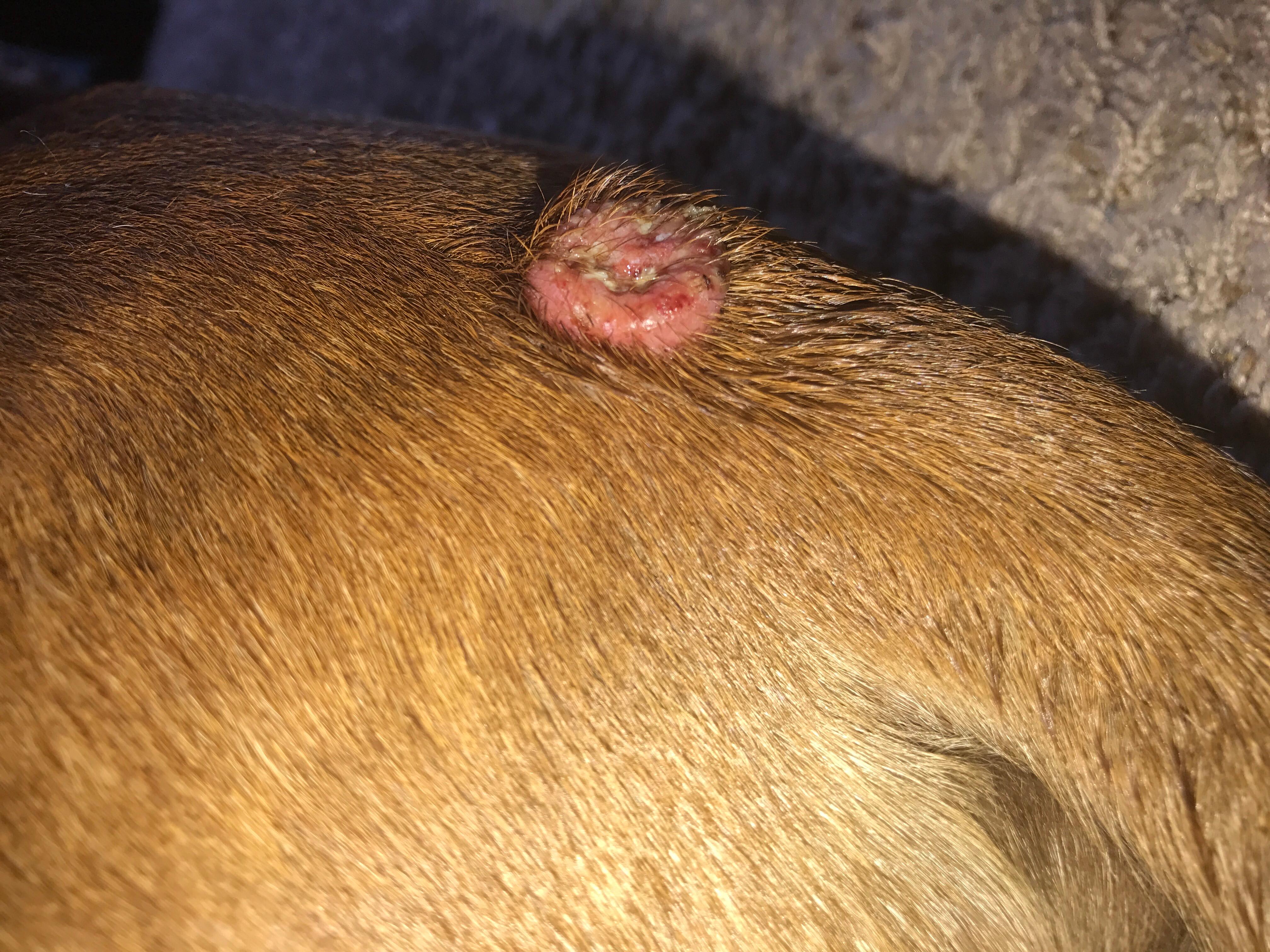 Question details sensitive content