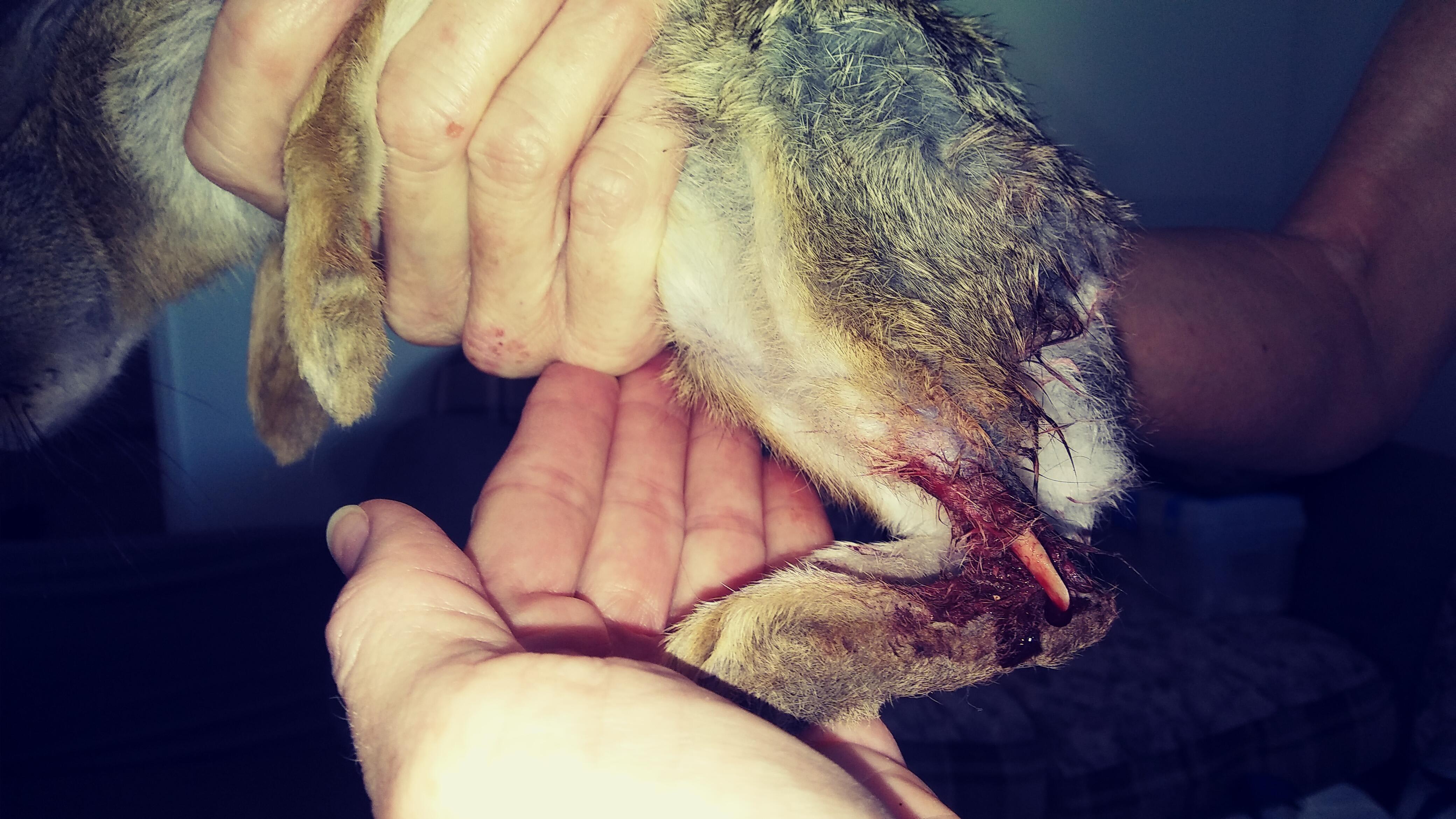 Question details sensitive content