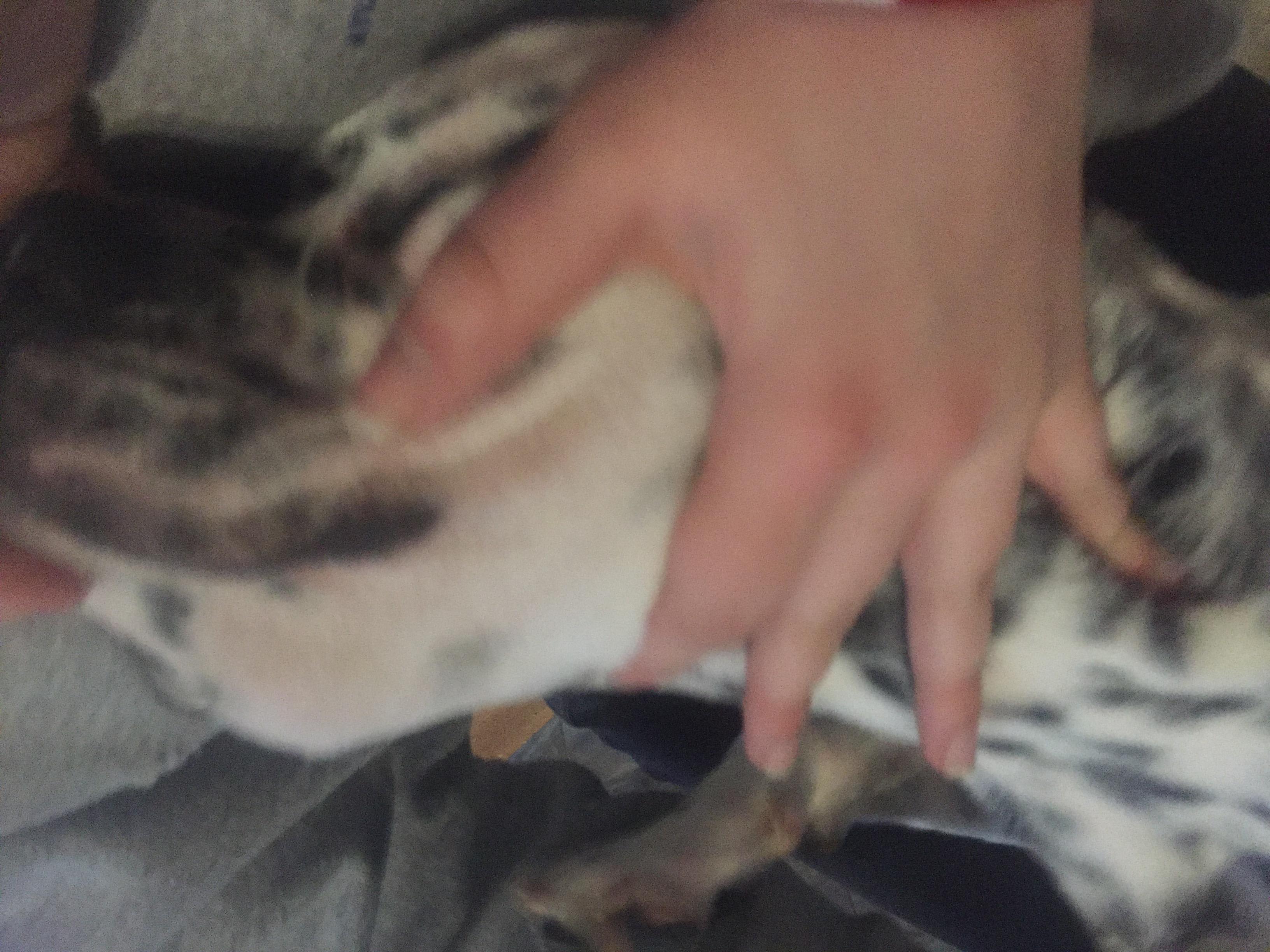 Question details sensitive content