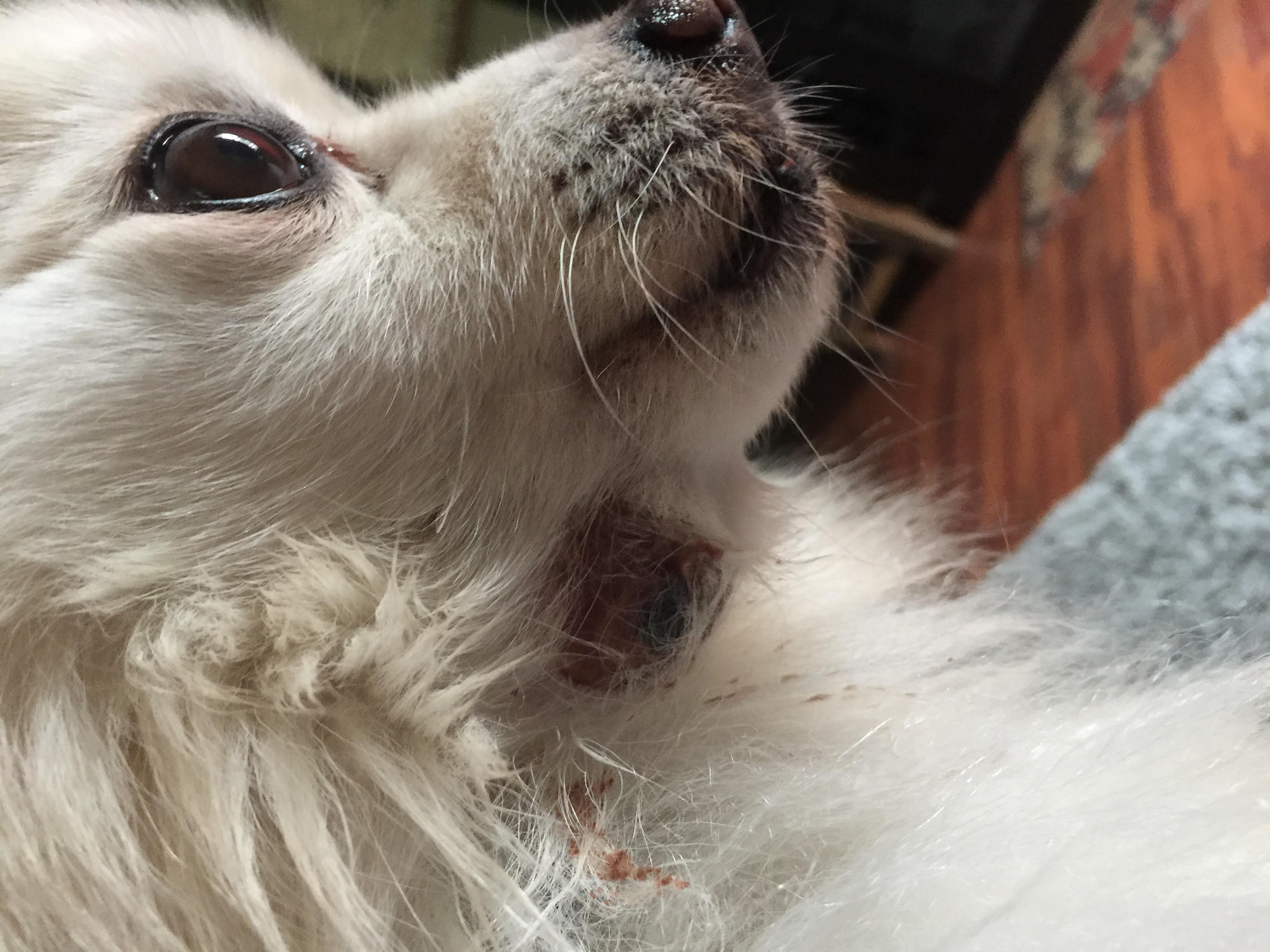 Question details sensitive content