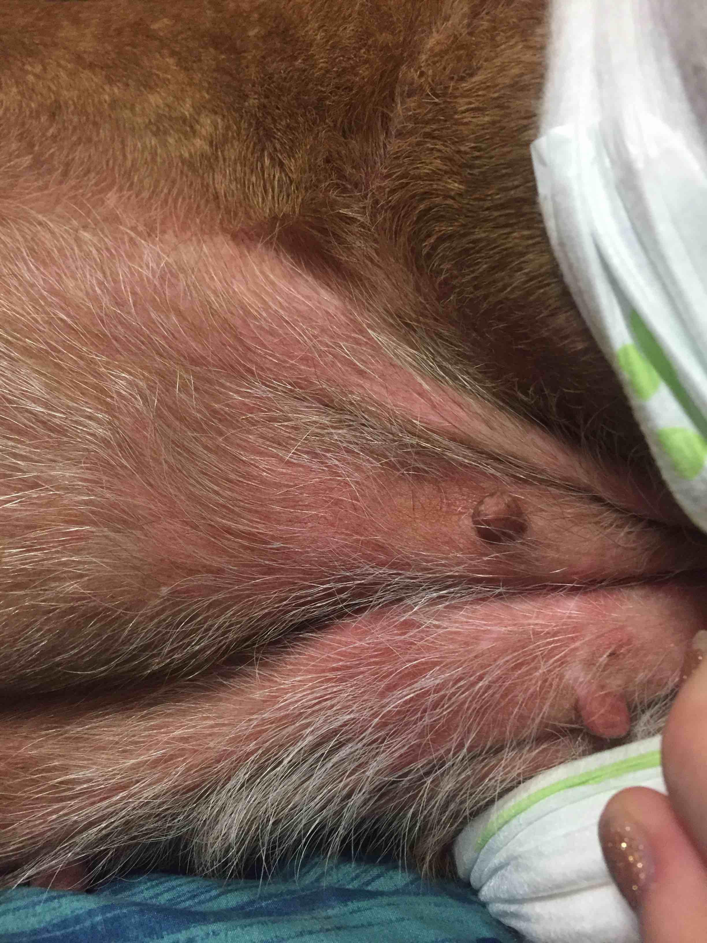 Question details sensitive content