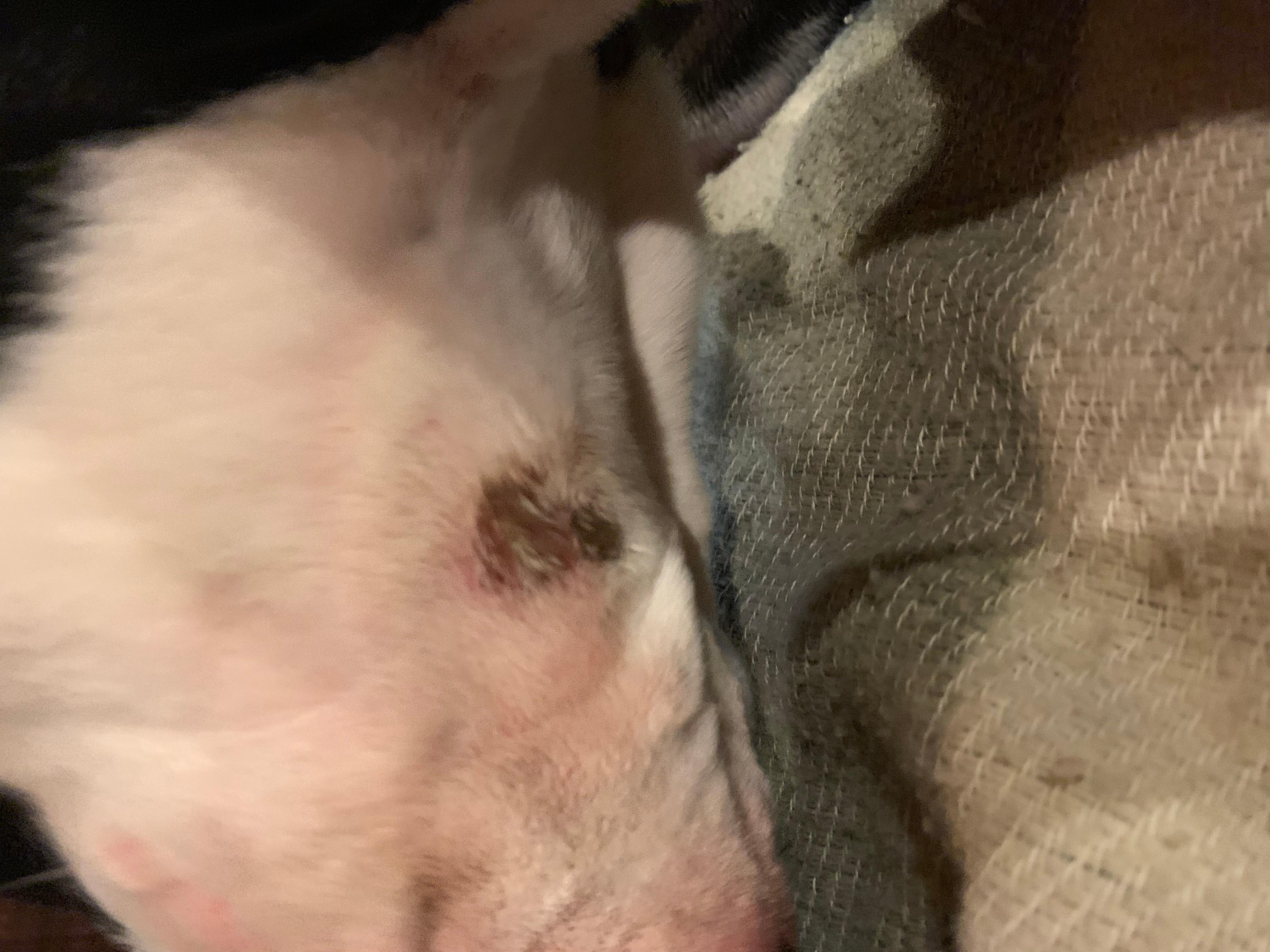 Question details sensitive content