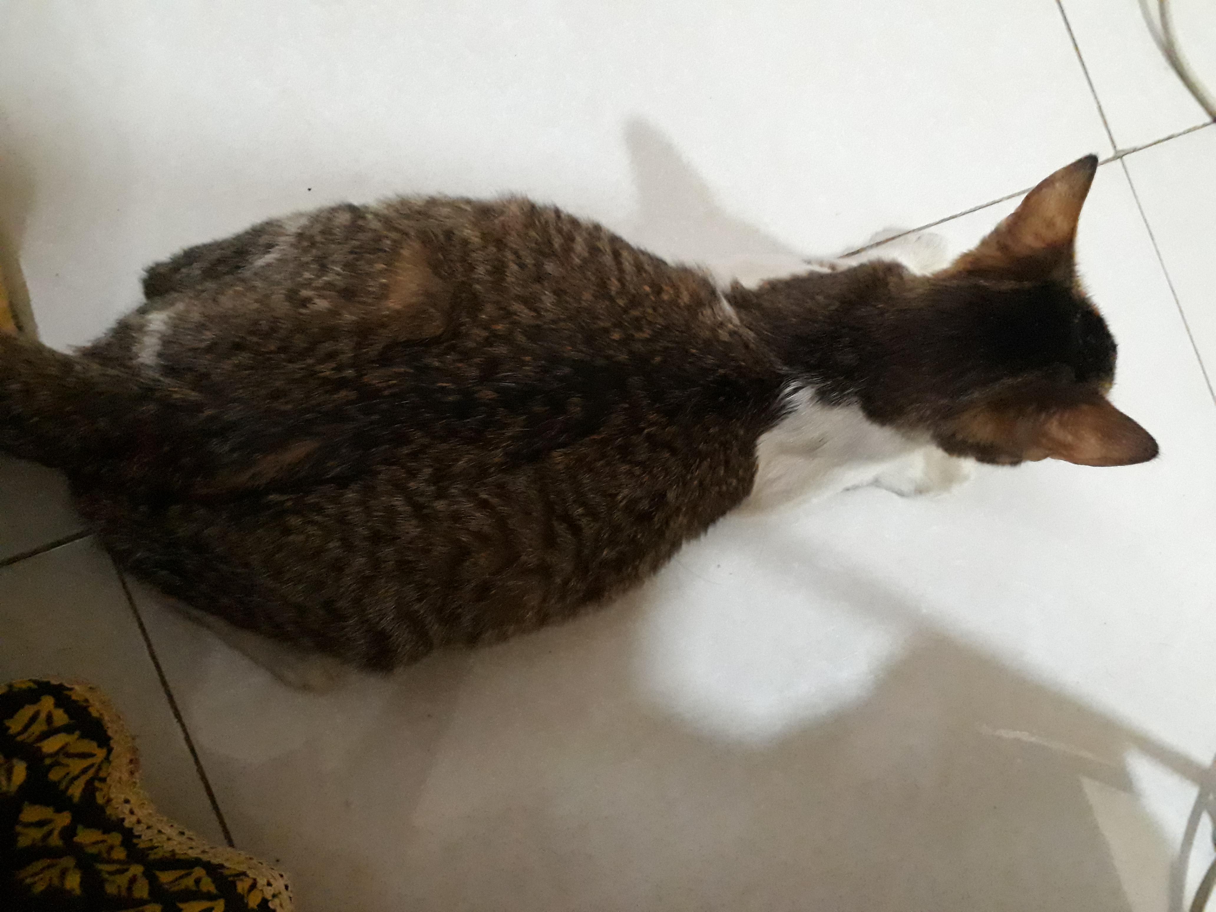 Question details sensitive content