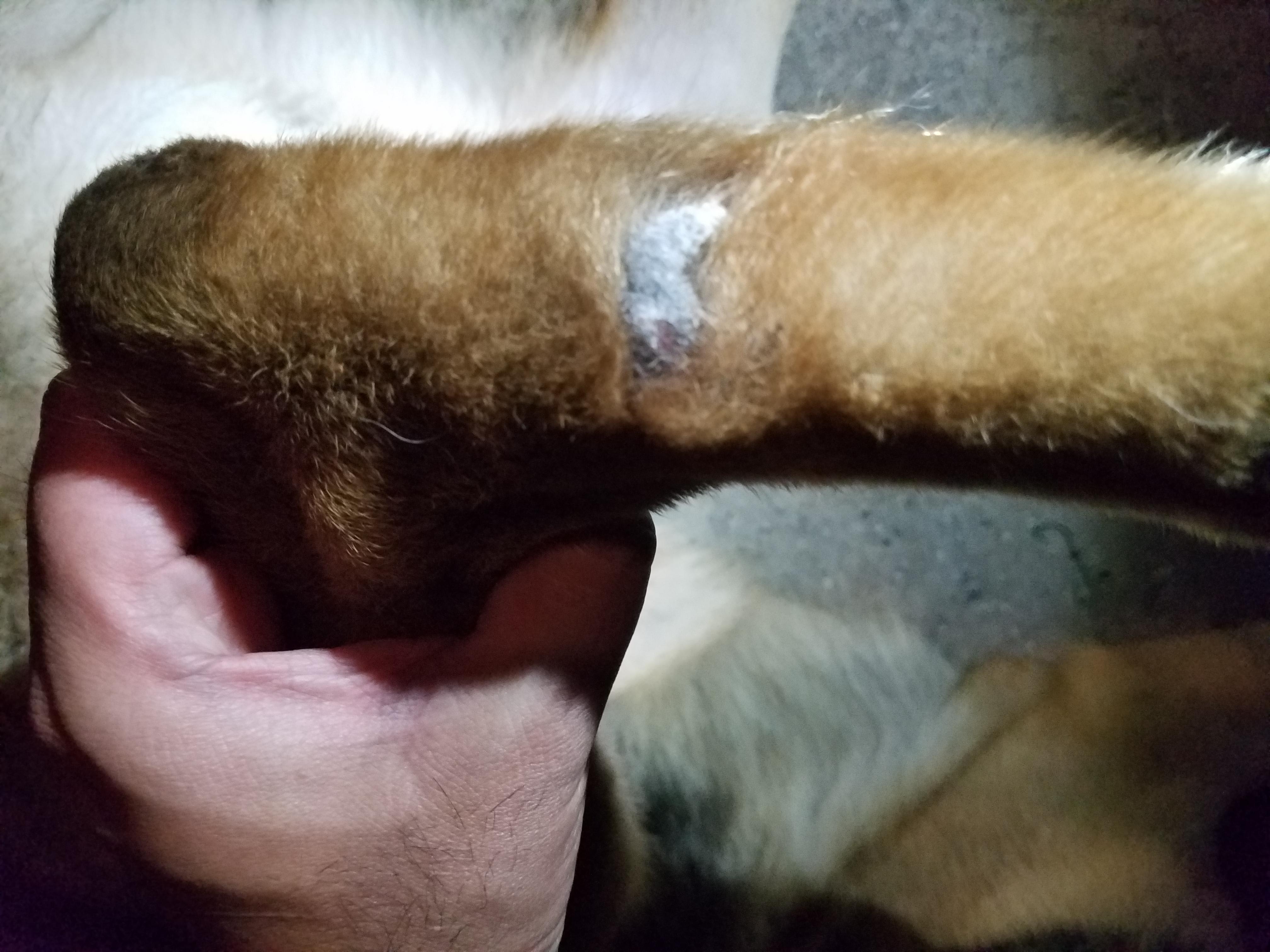 Question details sensitive content