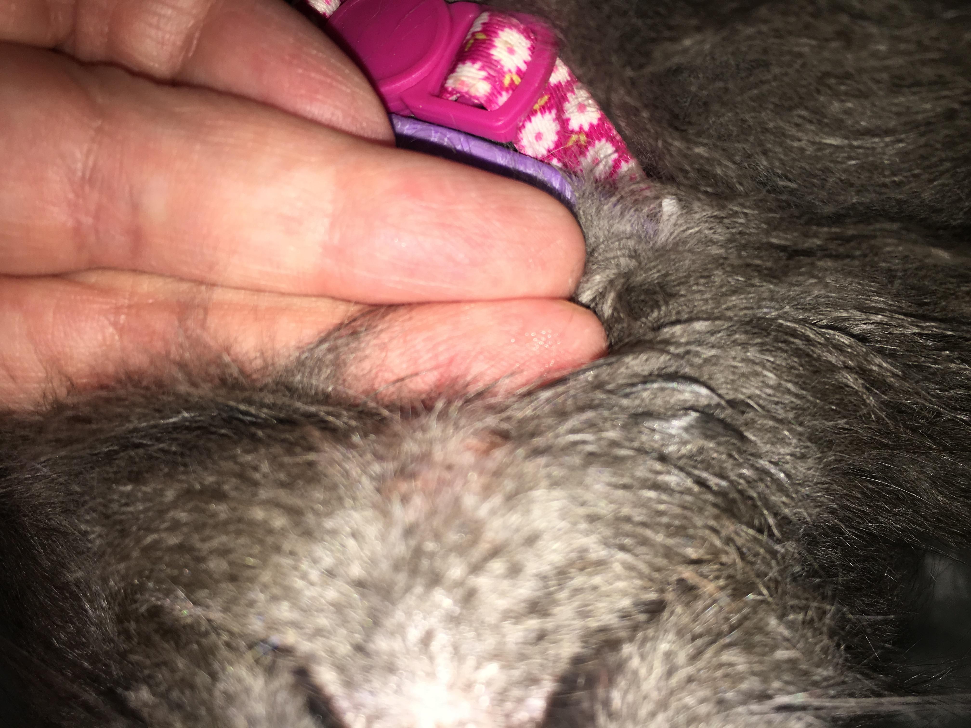 Question details sensitive content