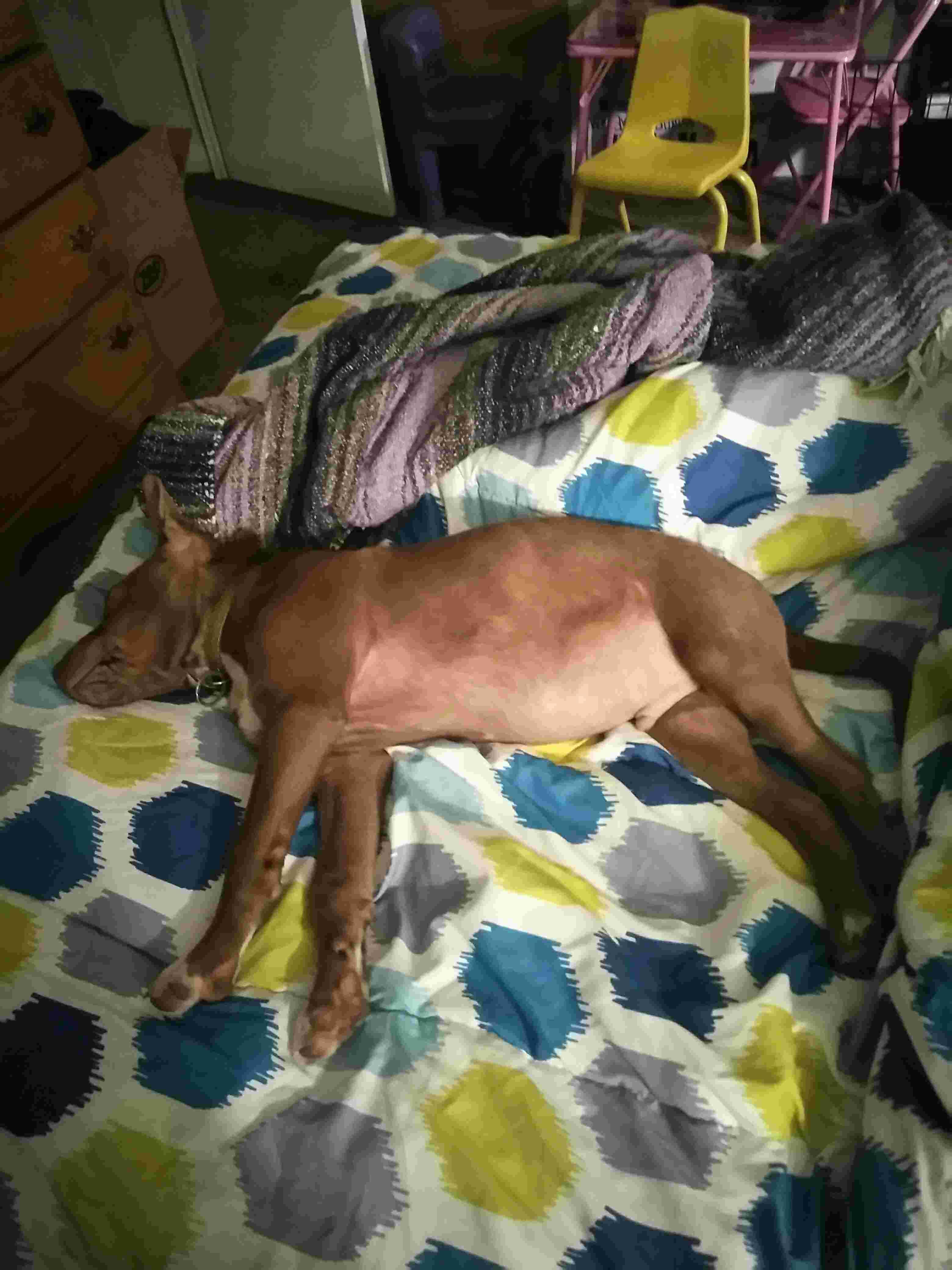 Question details sensitive content