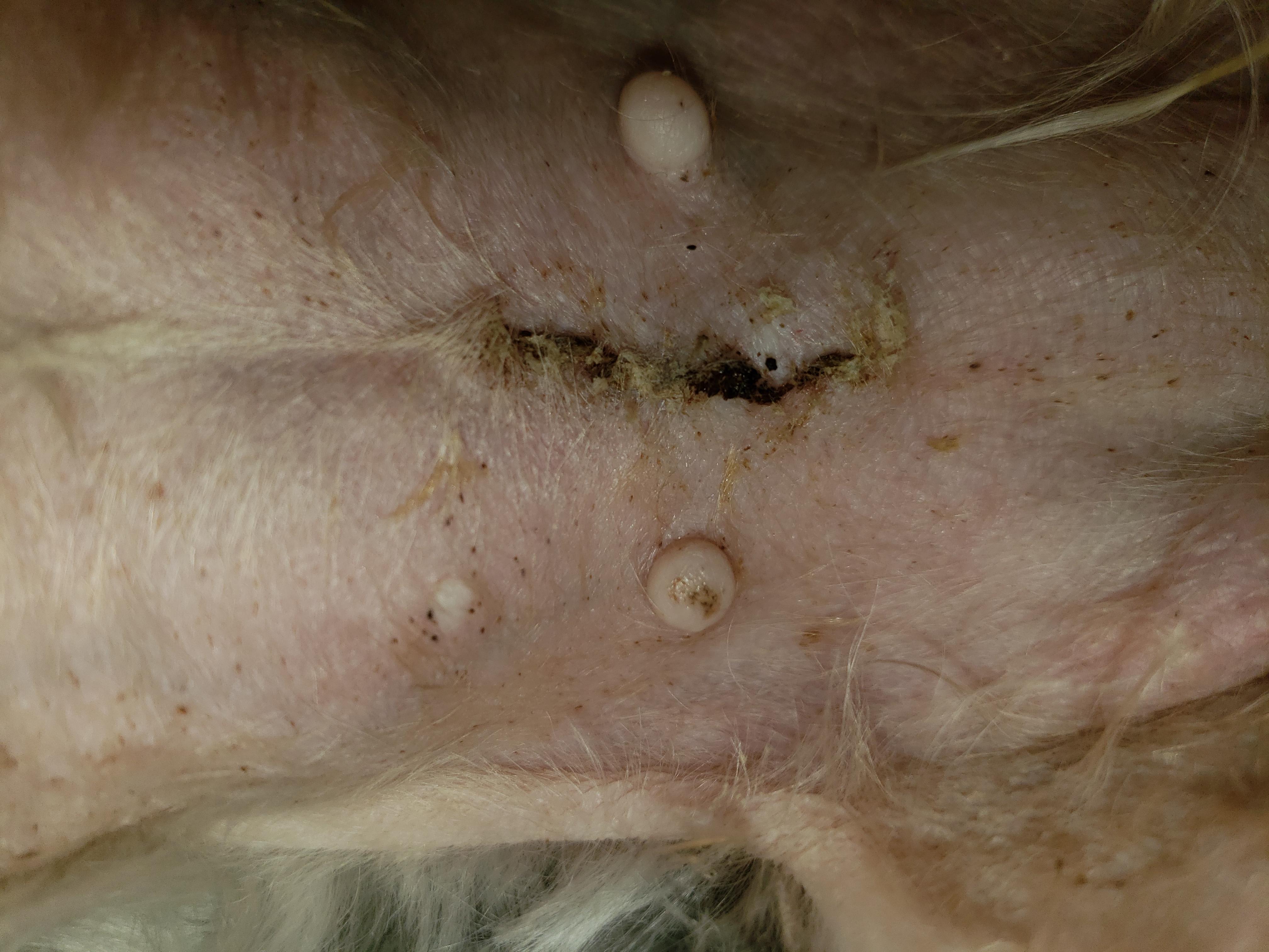 Question details sensitive content